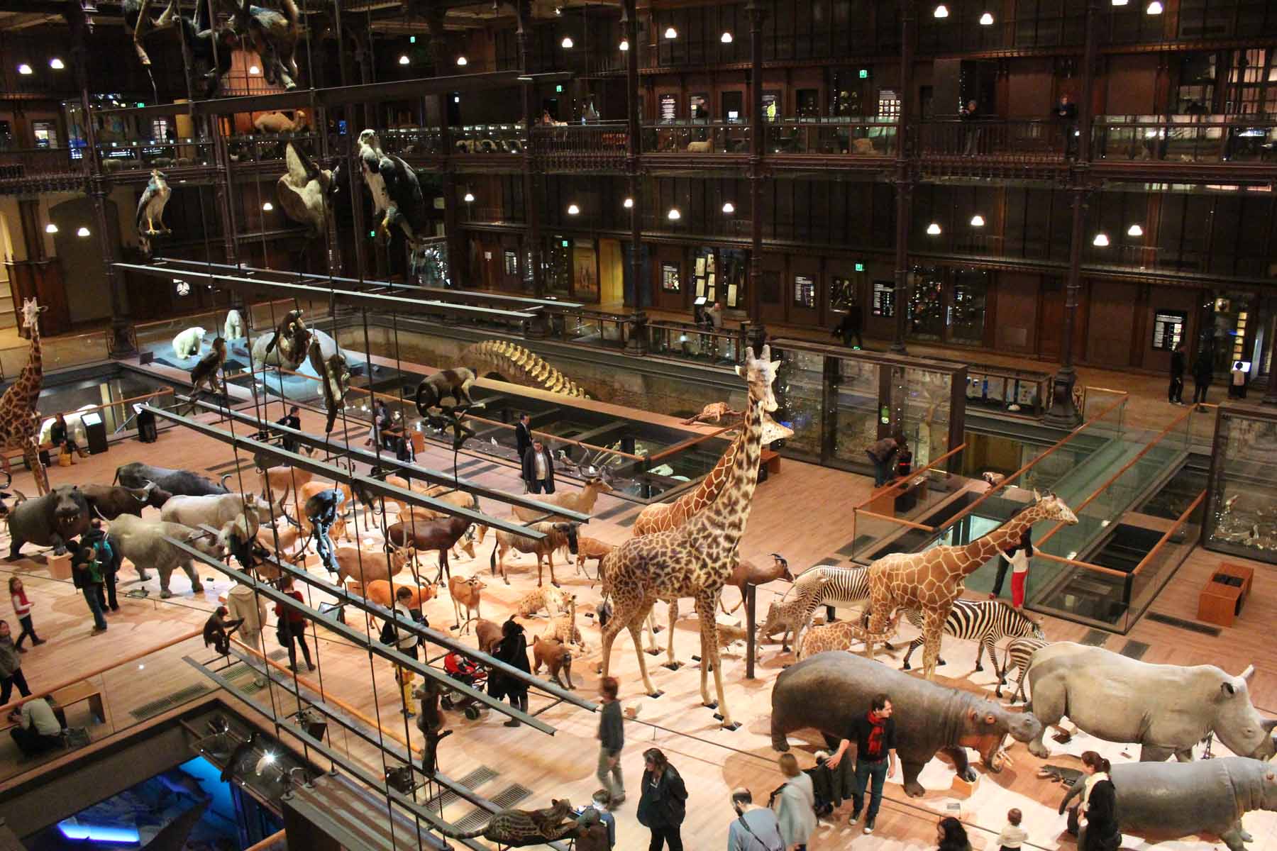 Paris, Galerie de l'évolution