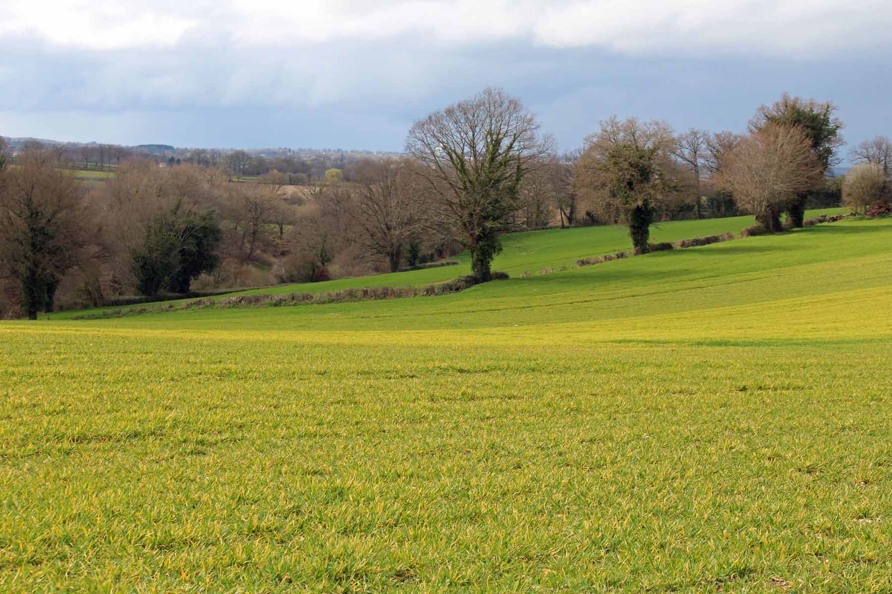 Paysage, Creuse, Limousin