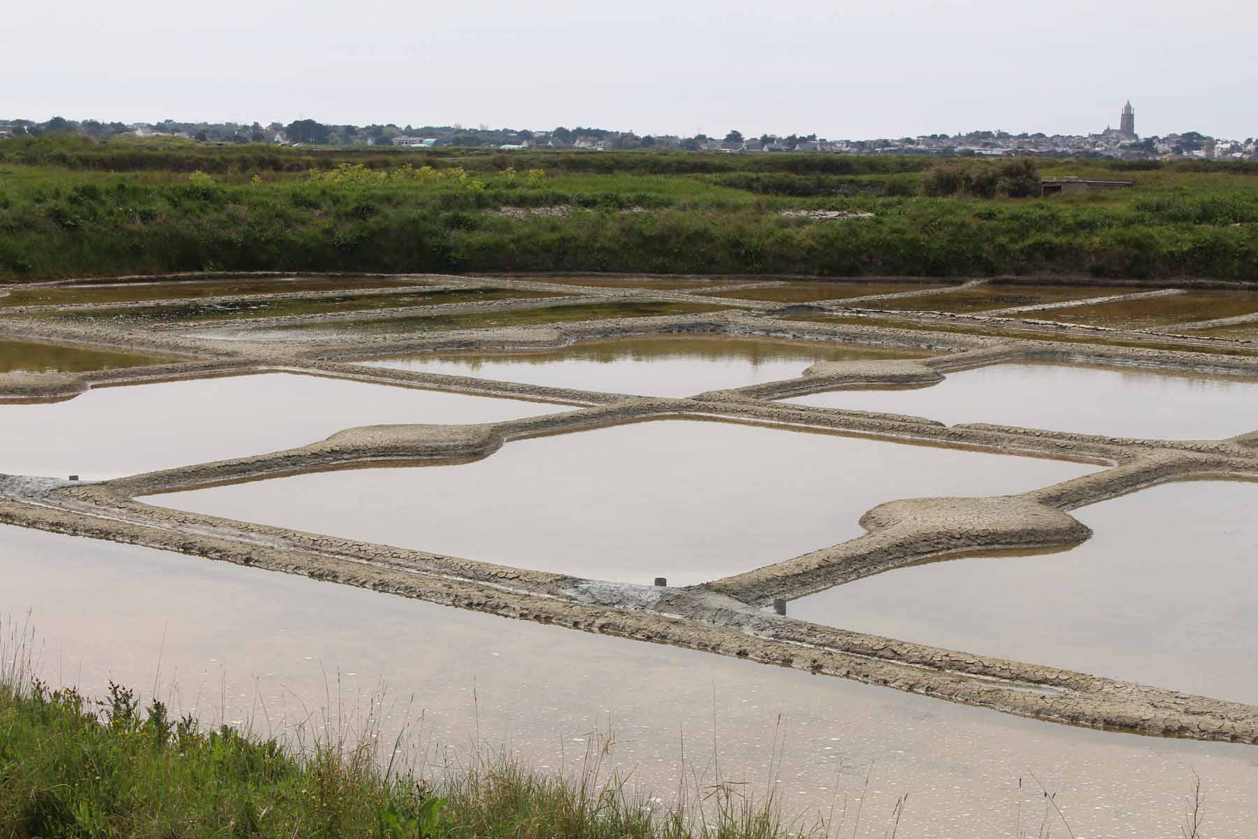 Marais salant de Guérande