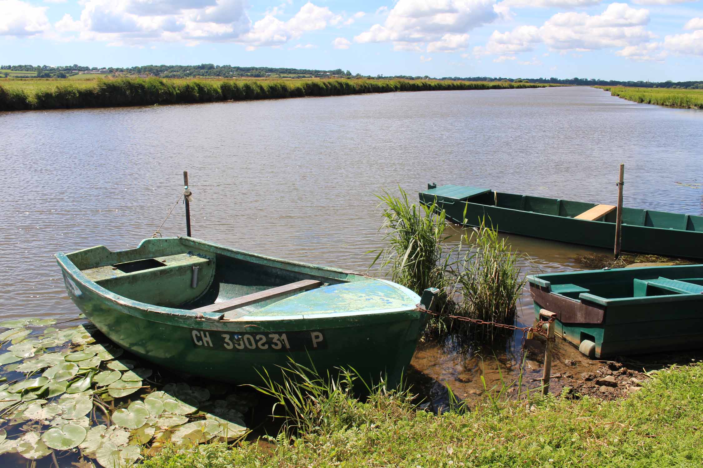 Marais du Cotentin, barques