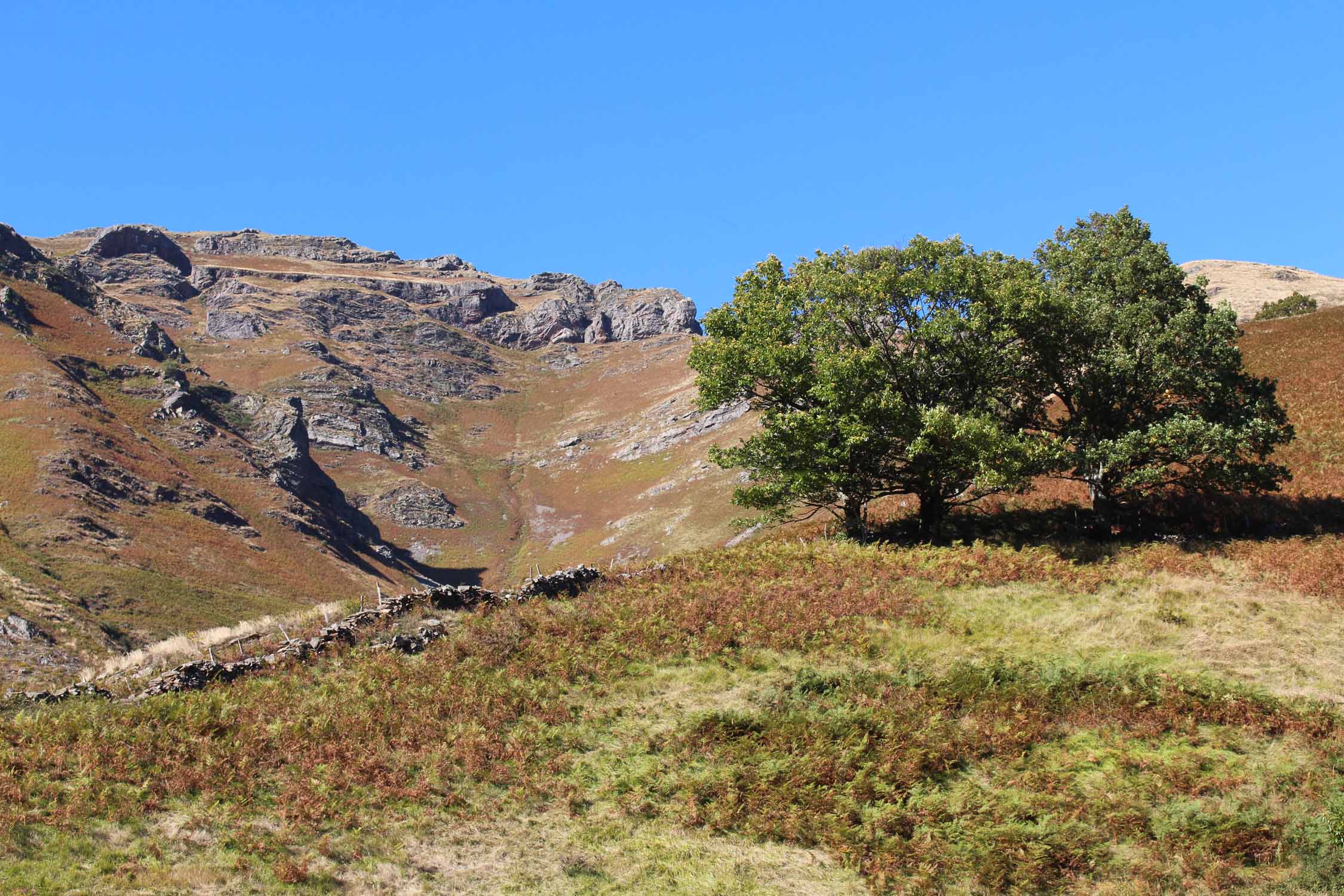 Col d'Ispeguy