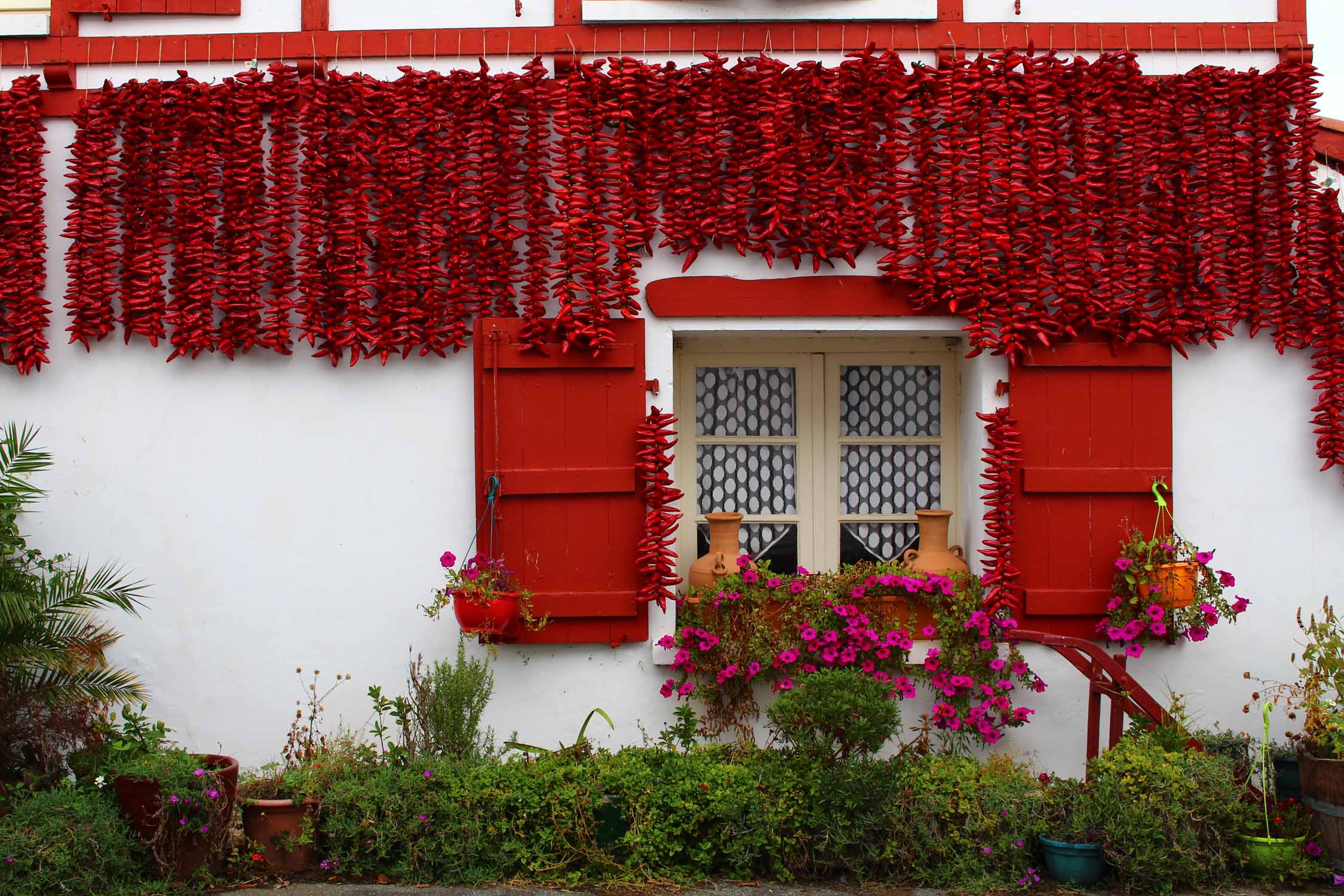 Espelette, piments, façade, maison