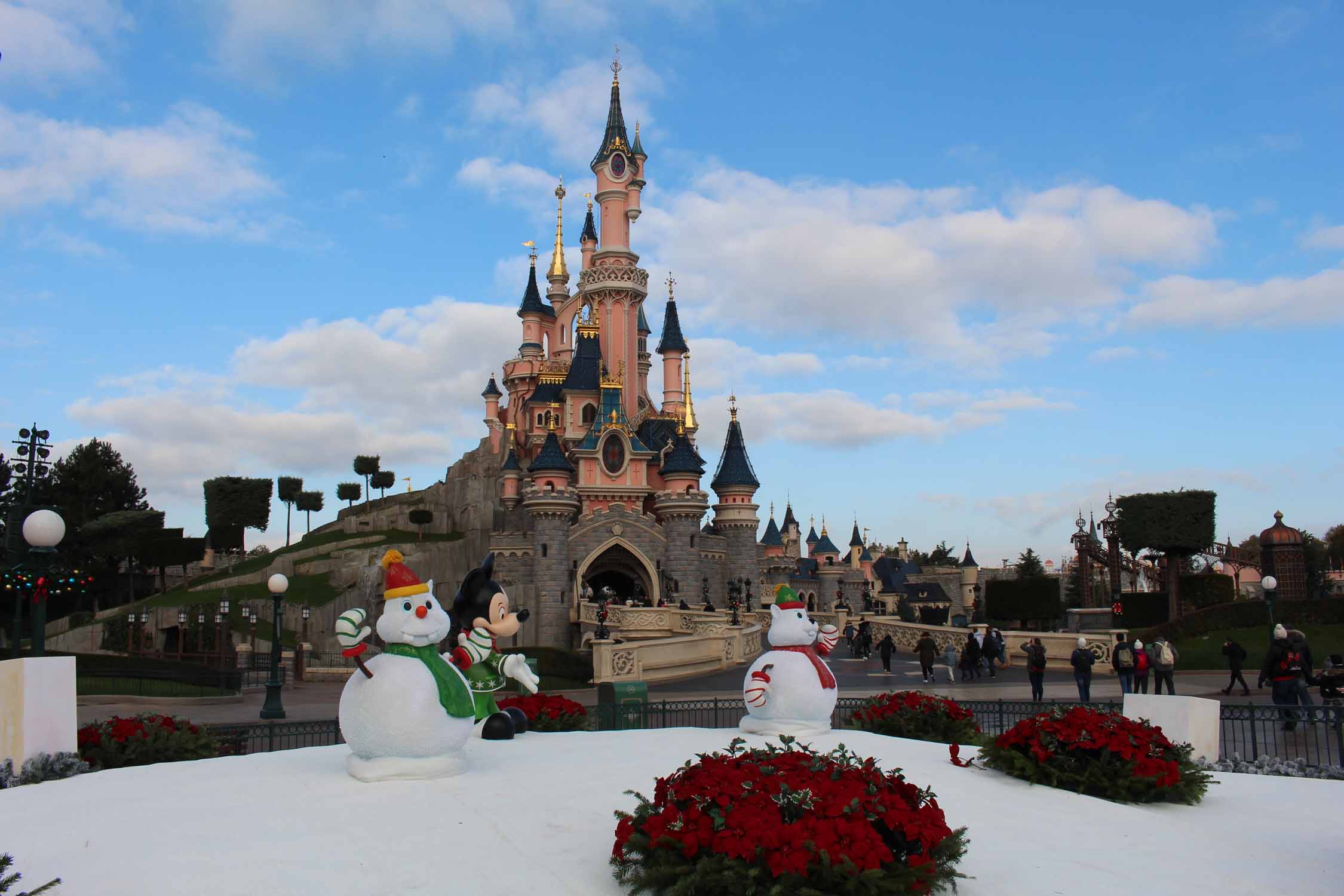 Disneyland Paris, Château