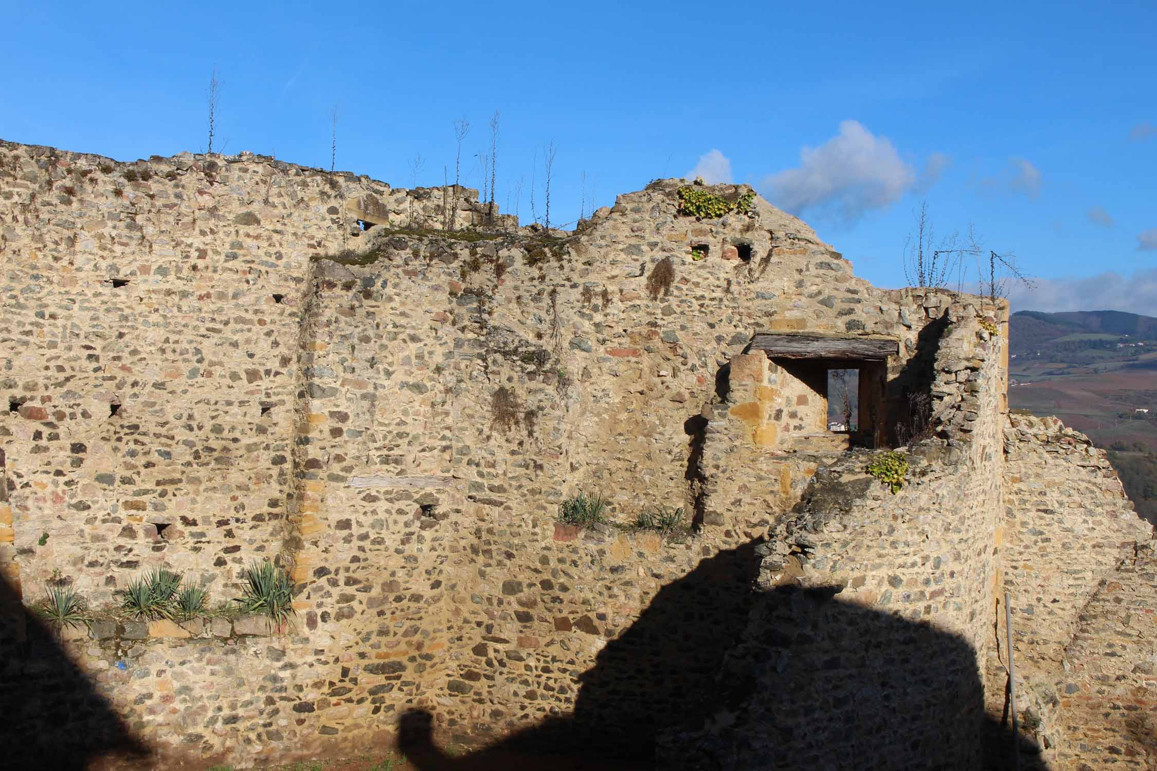 Ternand, Château