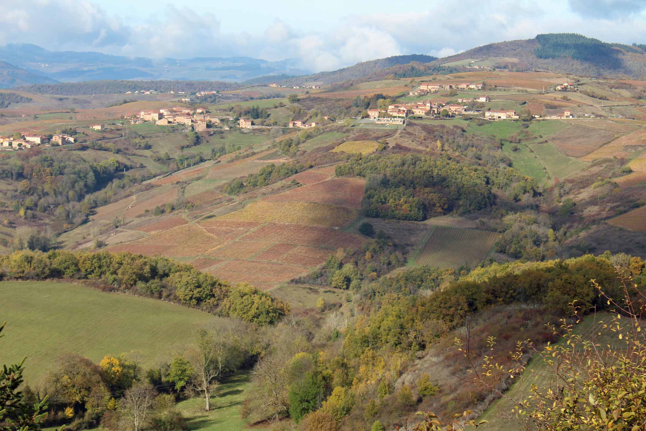 Paysage, Beaujolais, Ternand