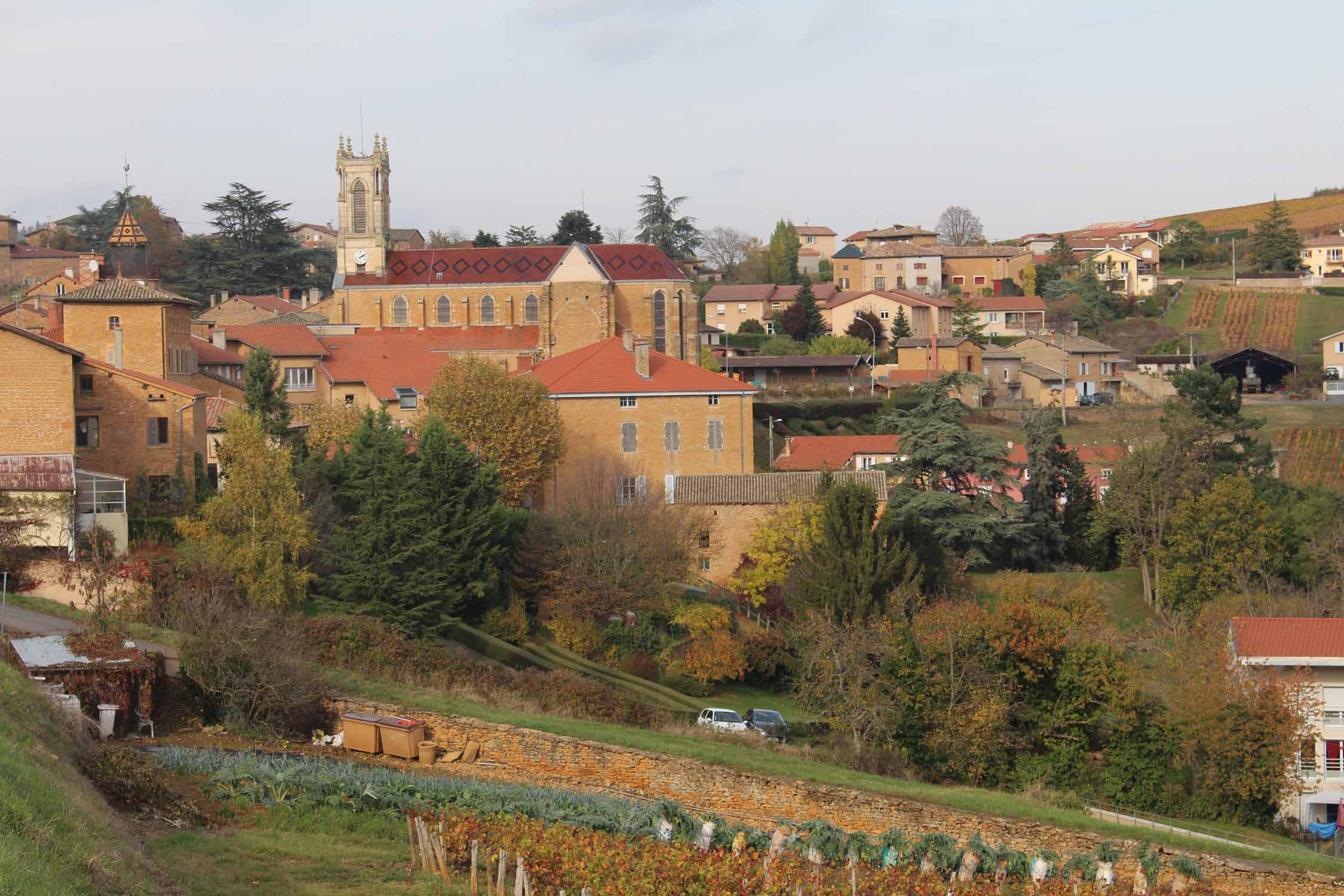 Cogny, Beaujolais