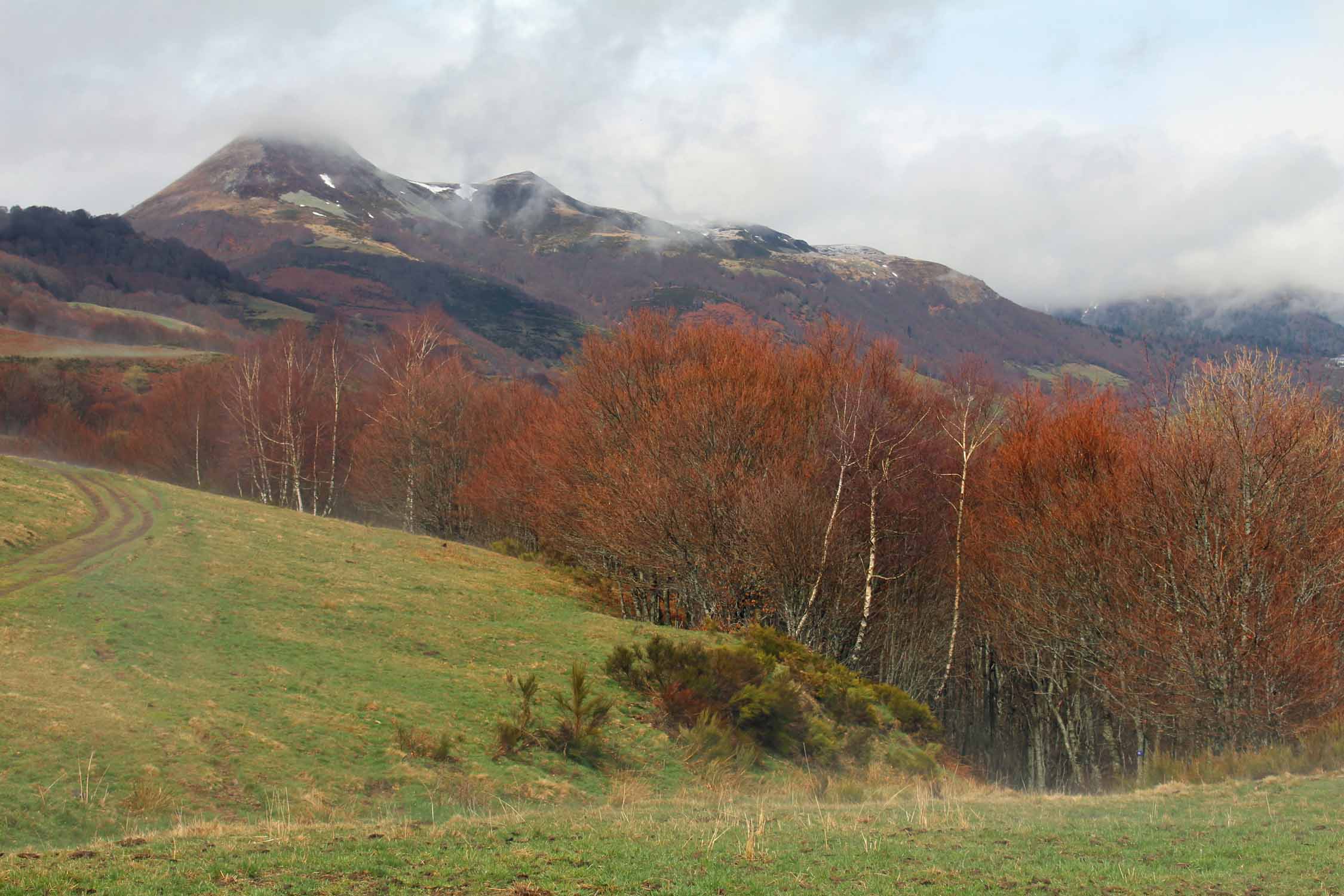 Puy-Griou