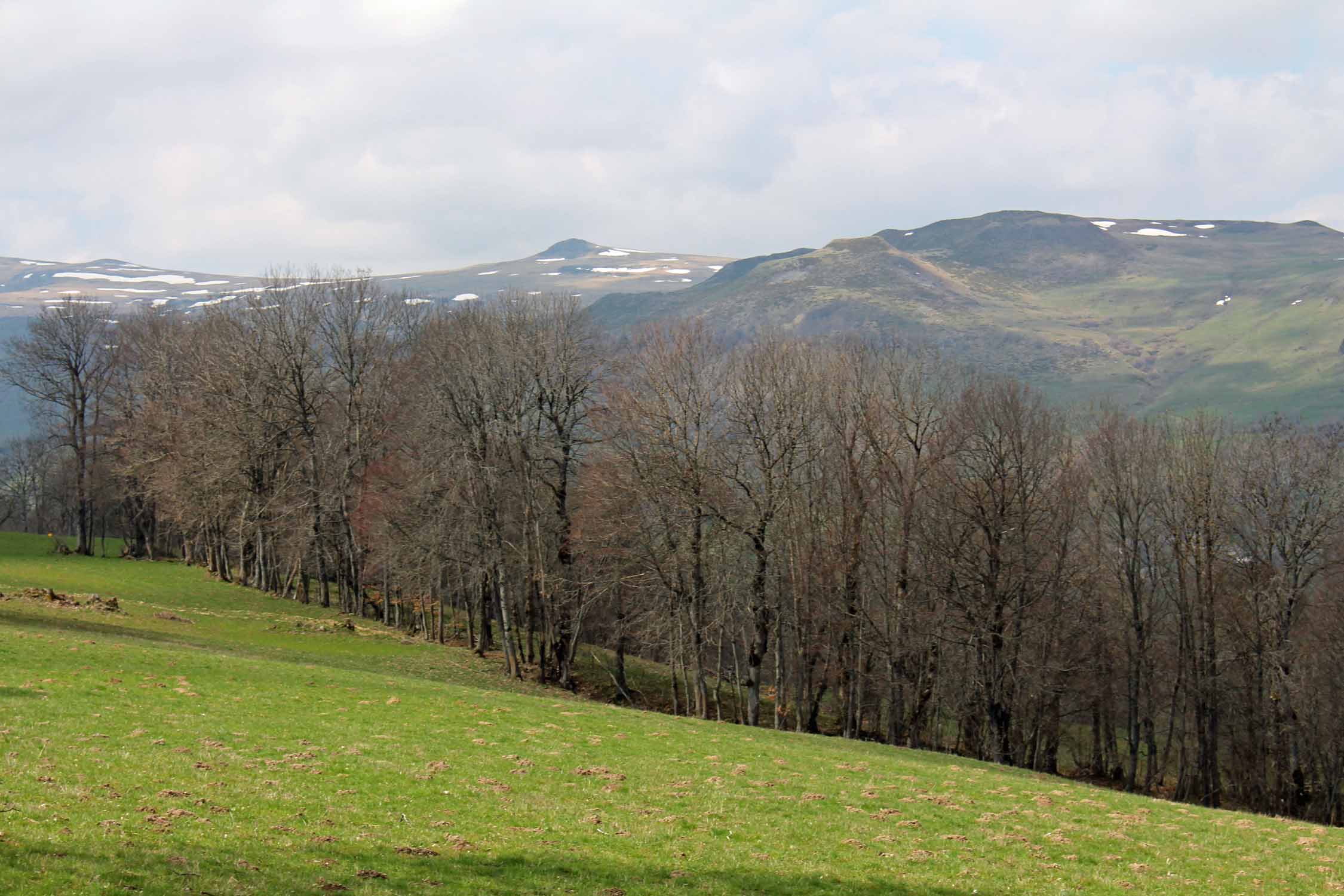 Cantal, col d'Entremont, paysage