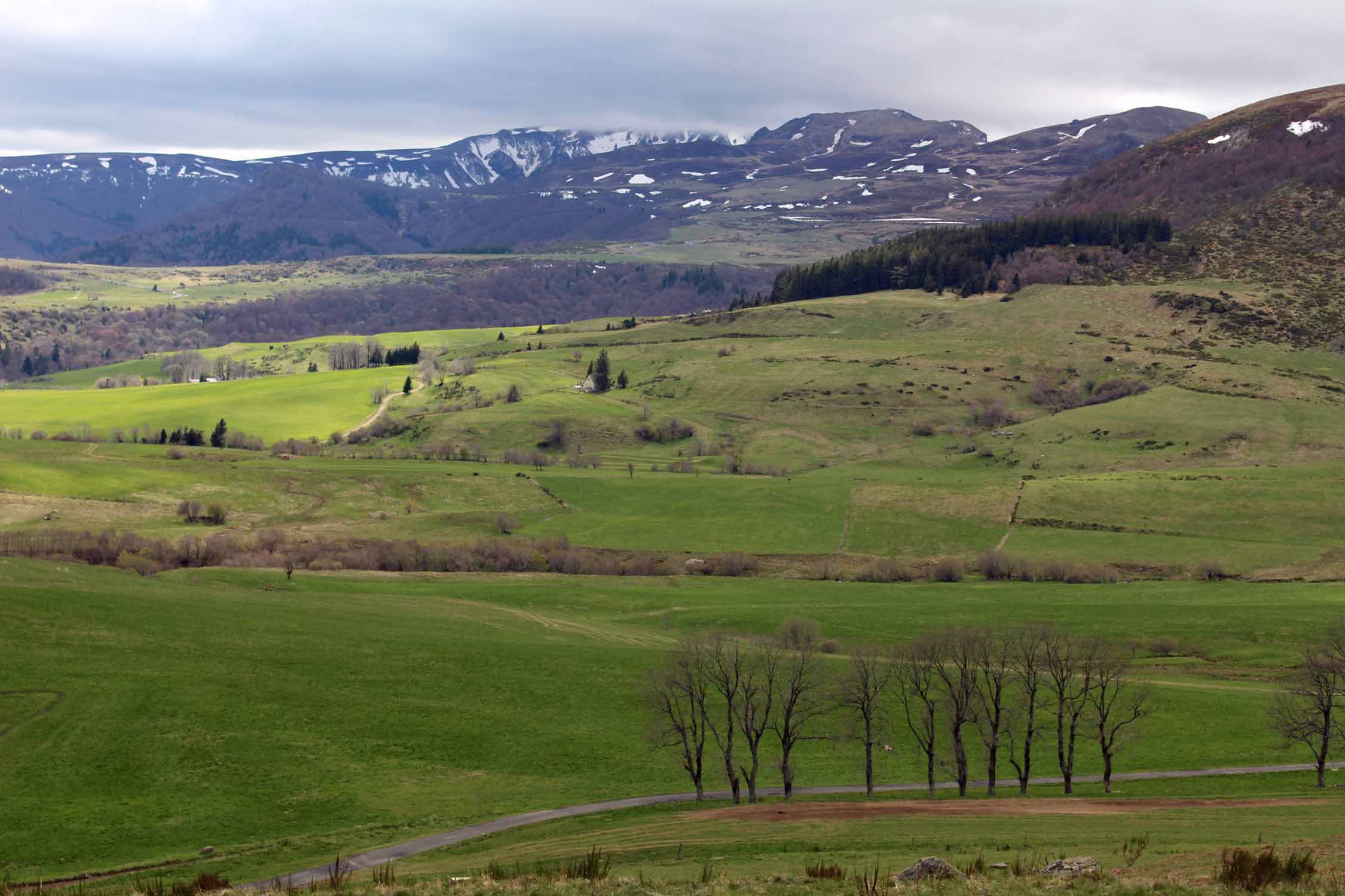 Puy-de-Sancy