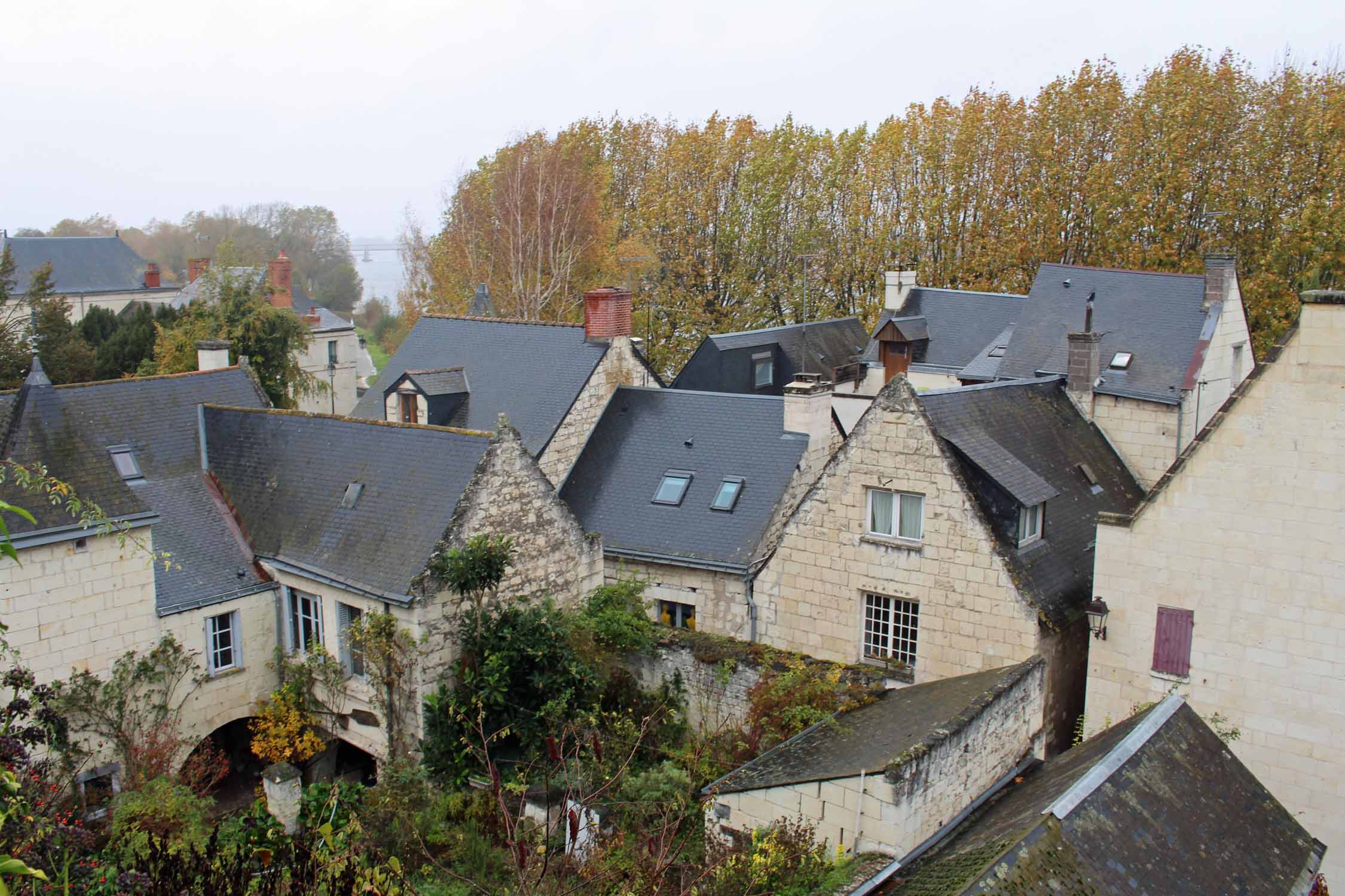 Maisons à Montsoreau