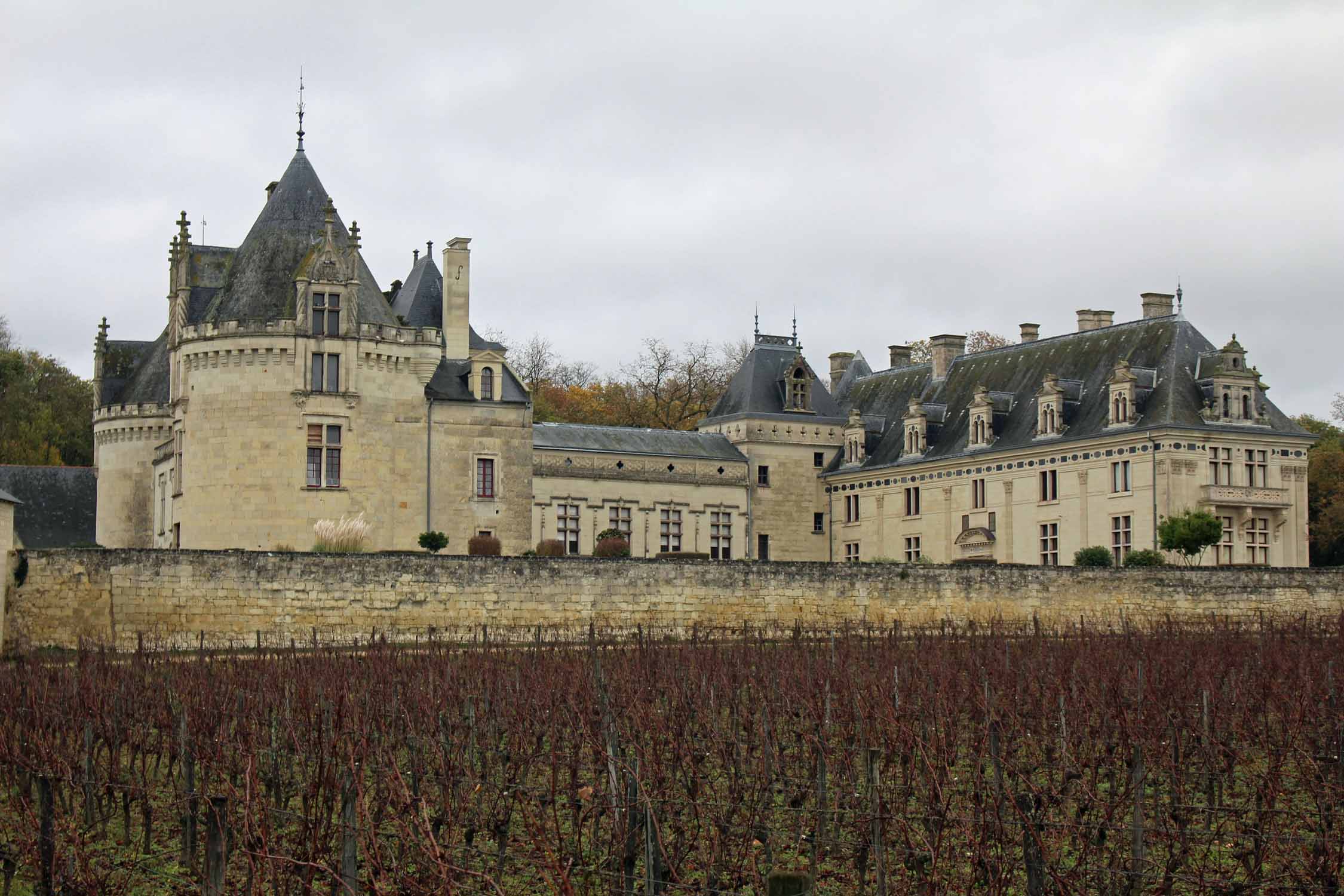 Château de Brézé