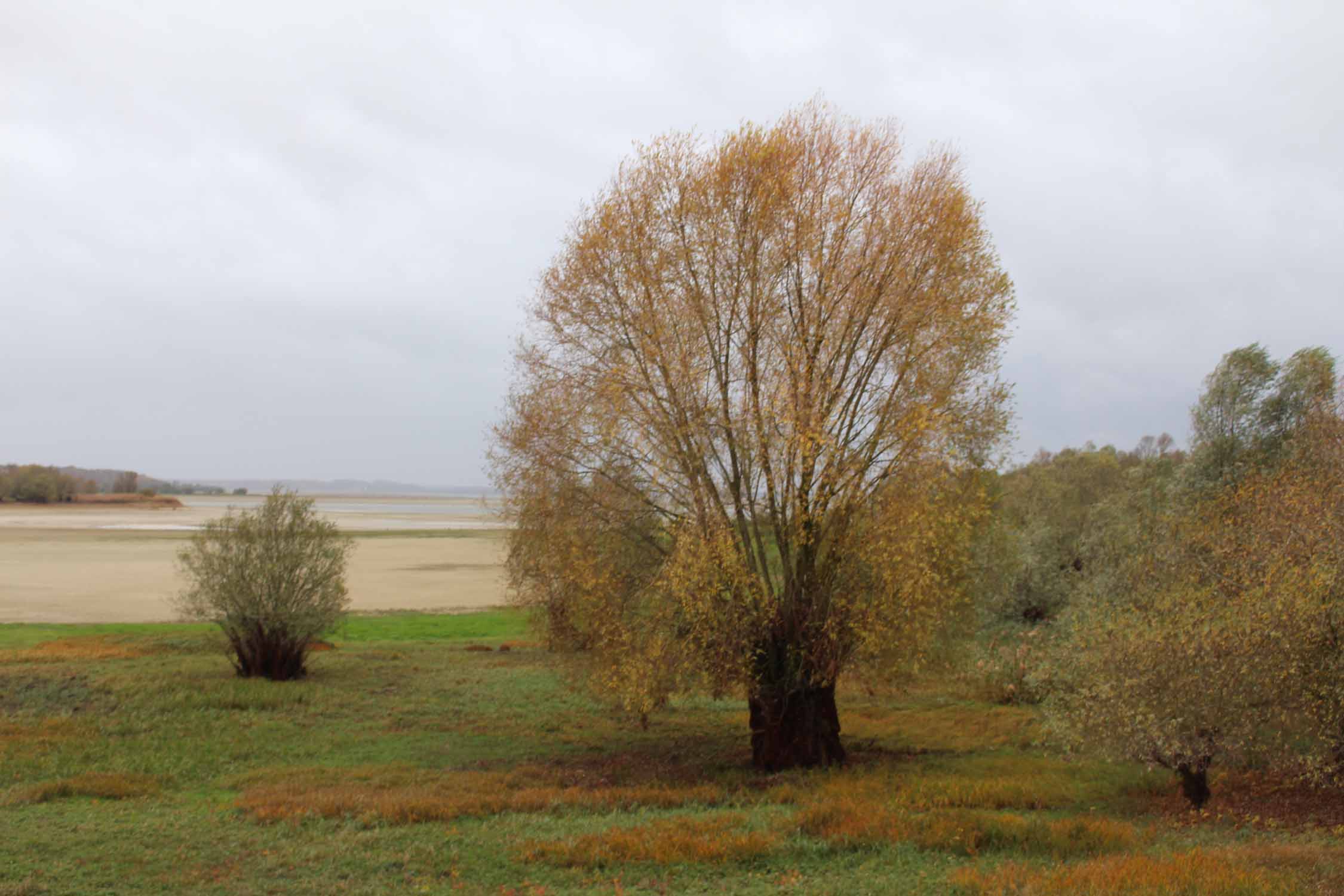 Lac du Der Chantecoq, automne