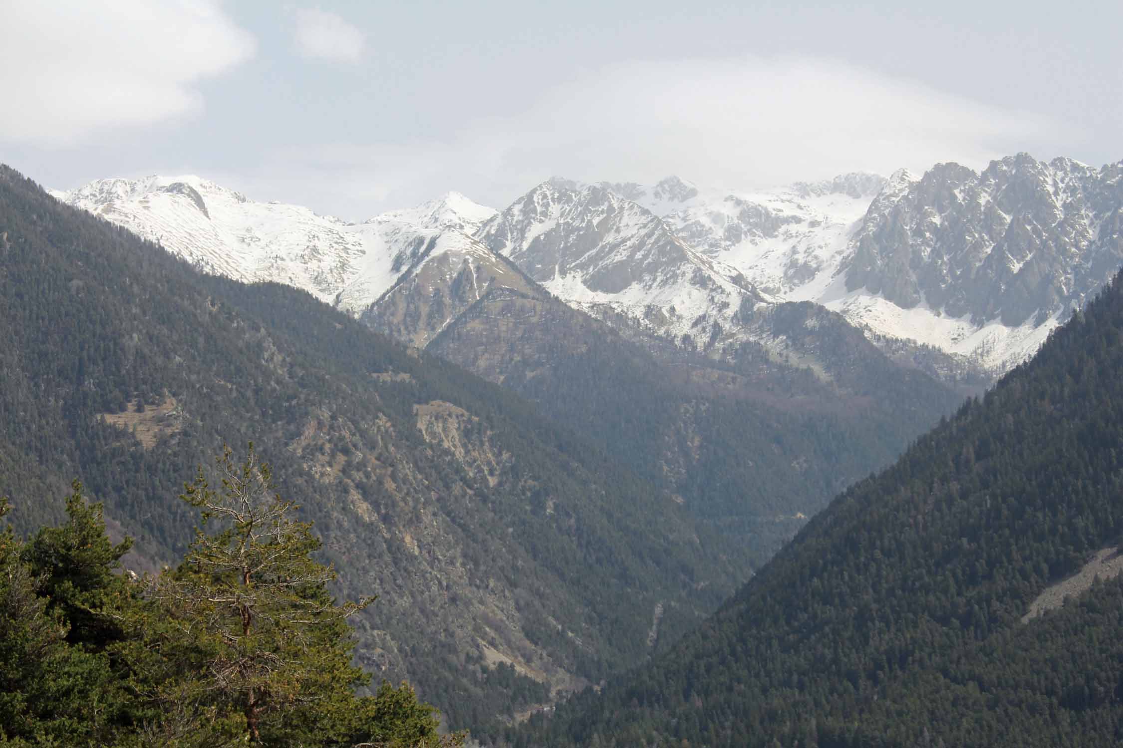 Alpes, paysage du Mercantour