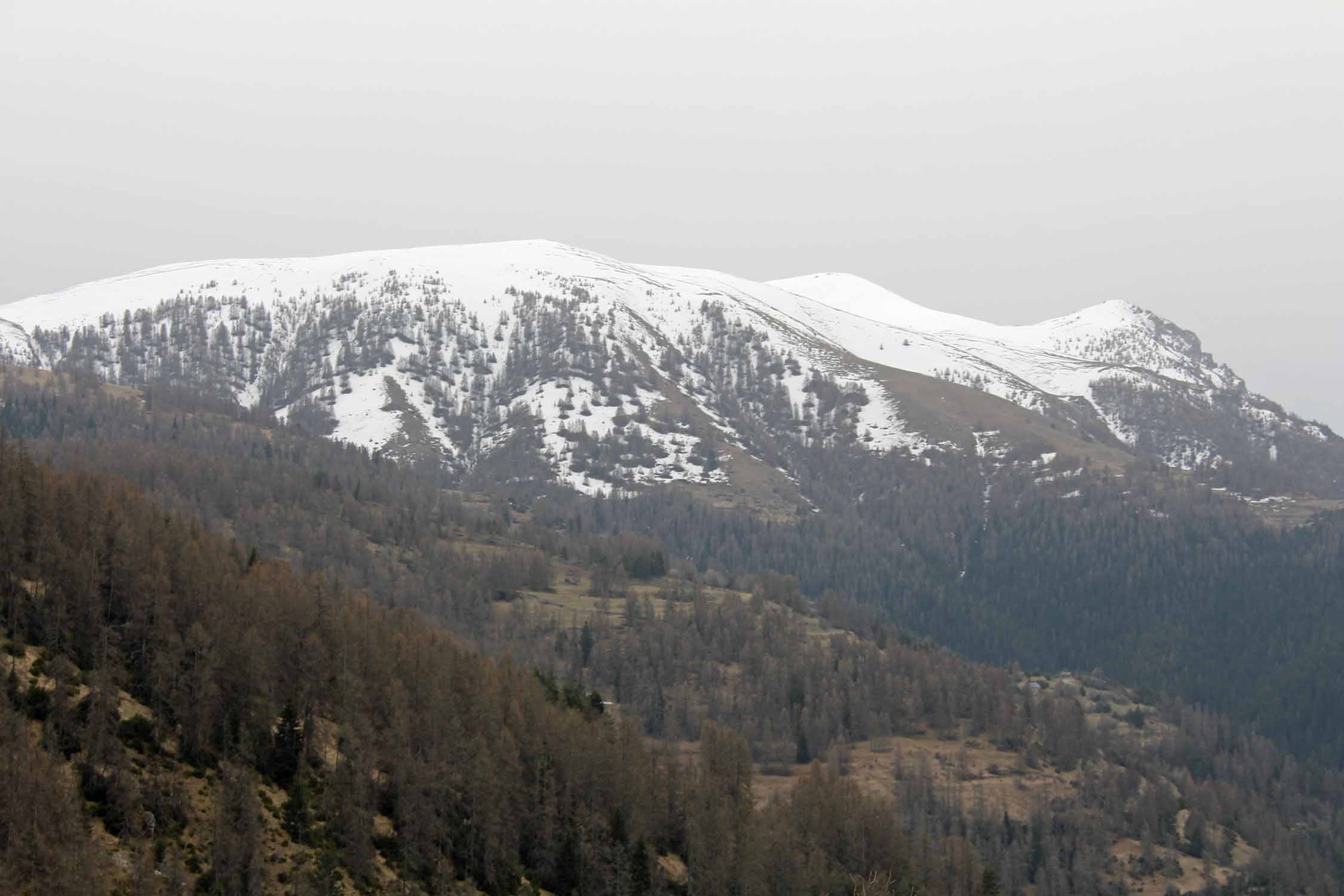 Col de la Couillole, paysage Mercantour