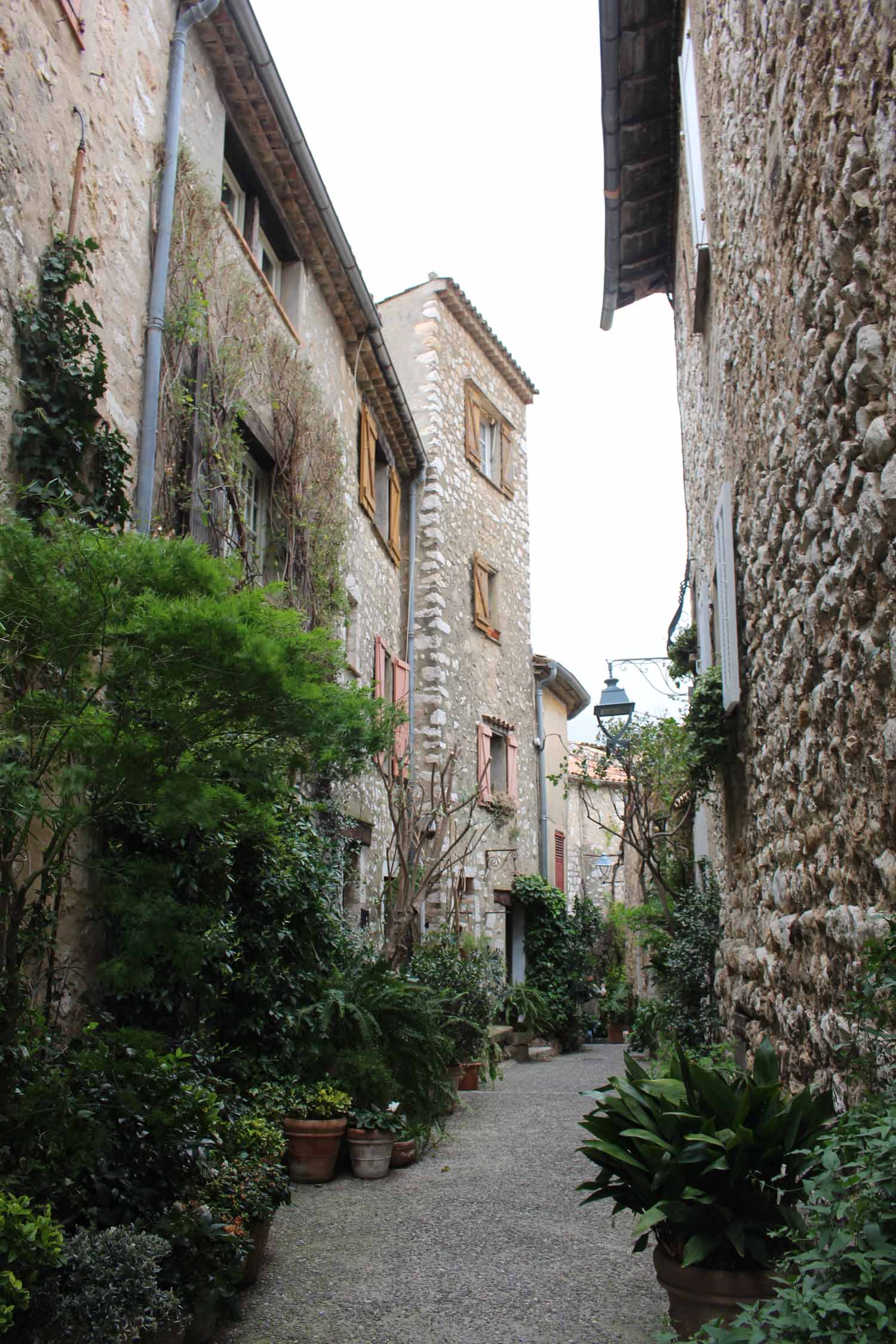 Saint-Paul-de-Vence, ruelle, plantes