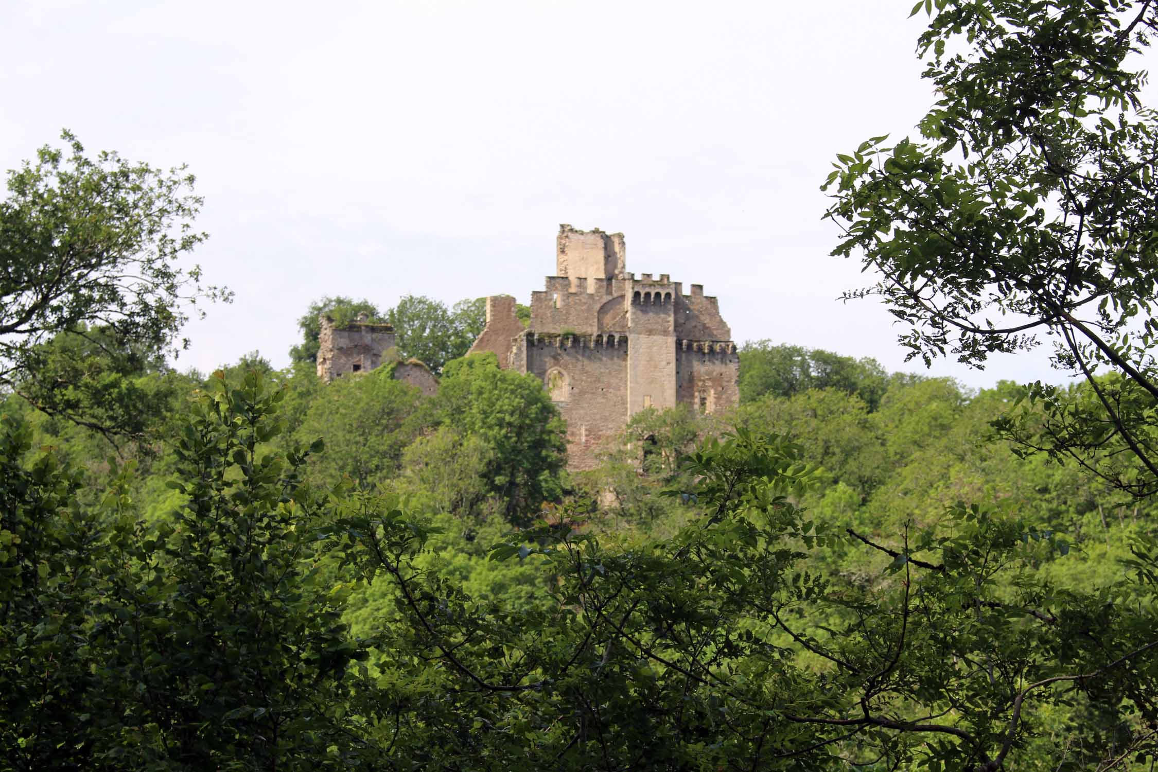 Château de Châlusset