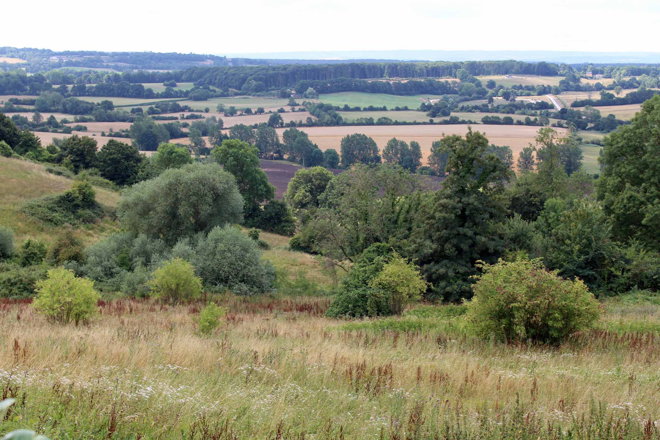 Le Bourg-Saint-Léonard, paysage