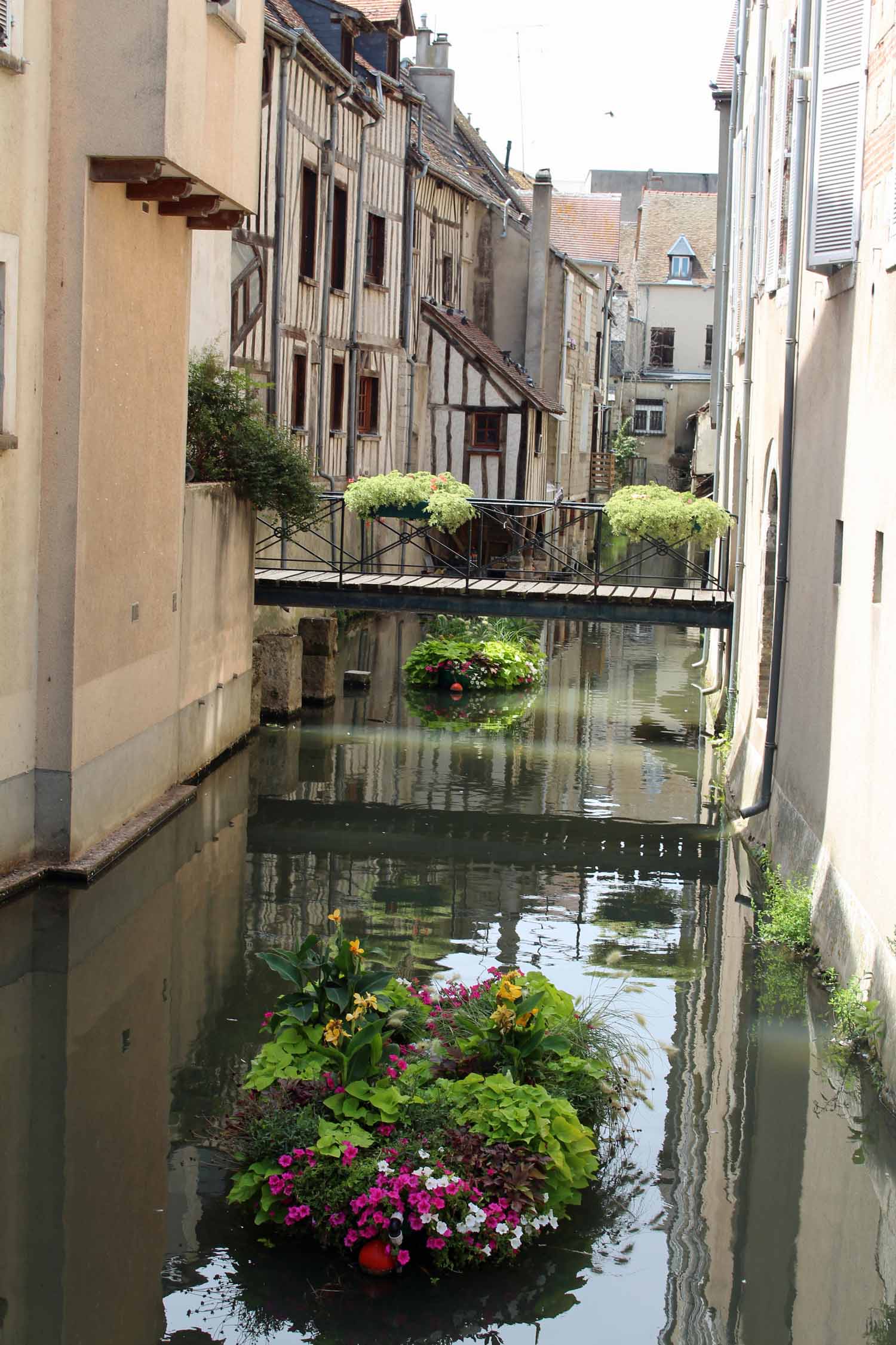 Montargis, canal, fleur