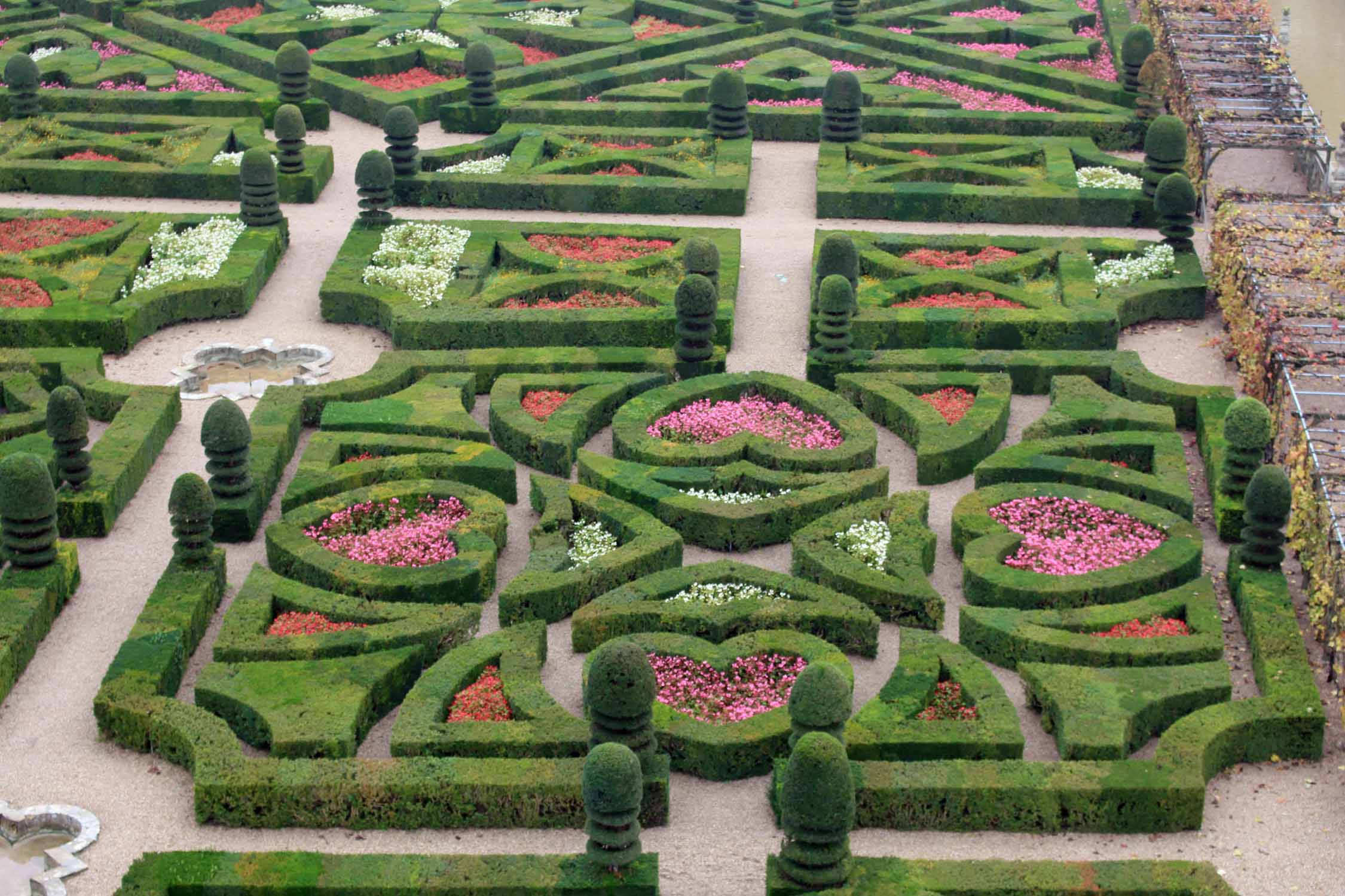 Château de Villandry, potager, forme géométrique