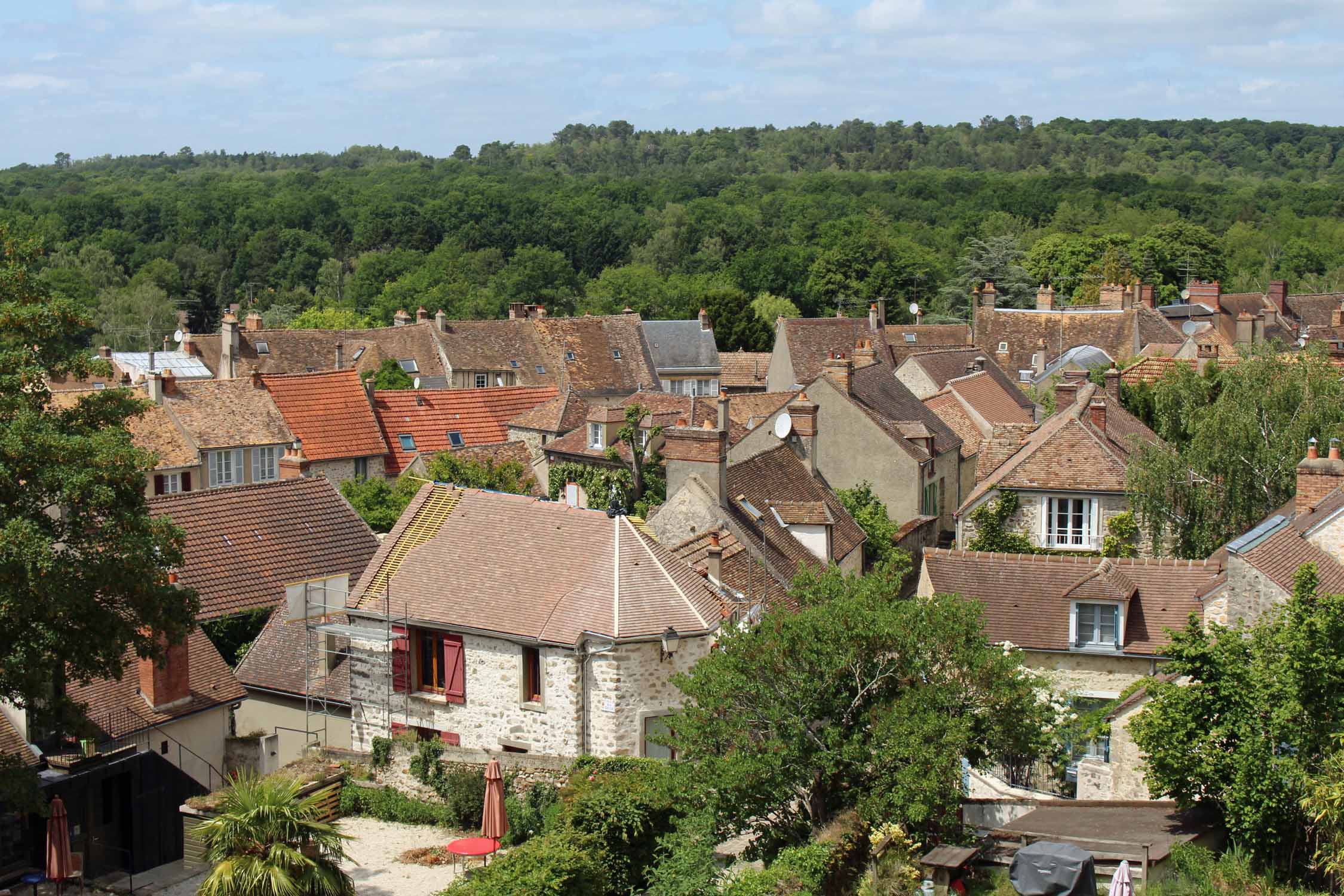 Rochefort-en-Yvelines, paysage
