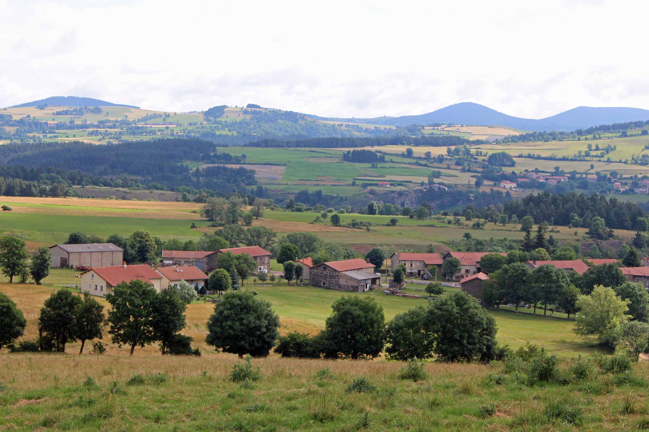 Haute-Loire, mont Burel, paysage