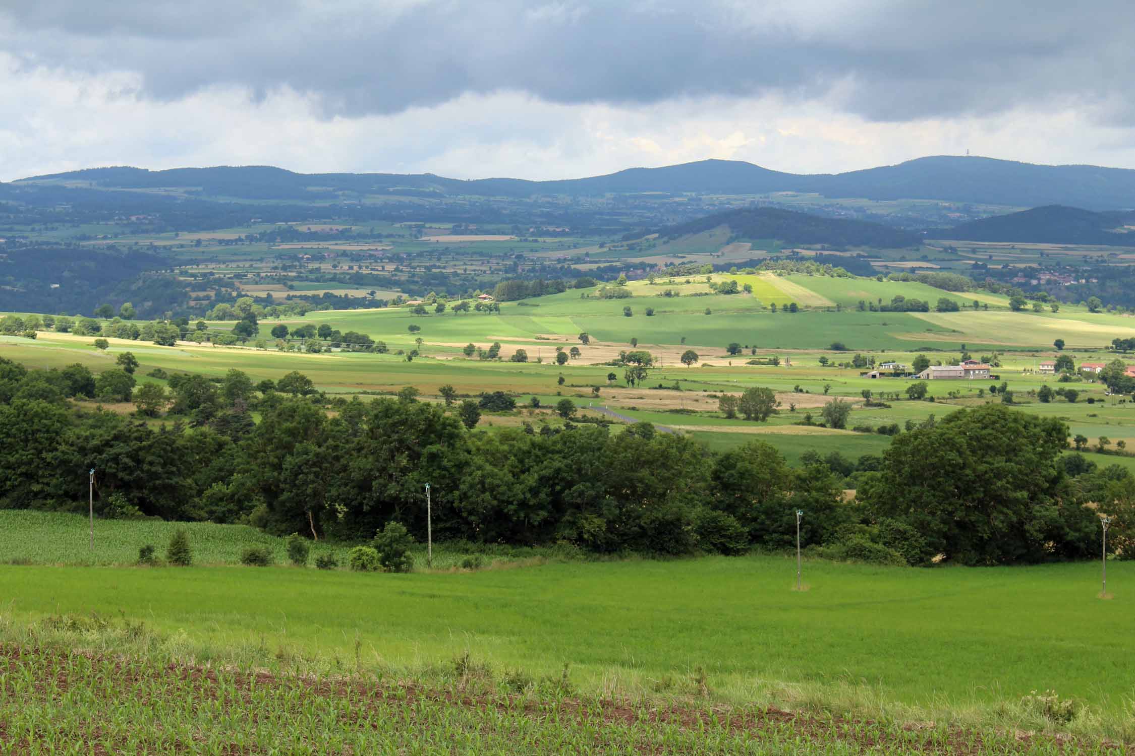 Le Monastier-sur-Gazeilles, paysage