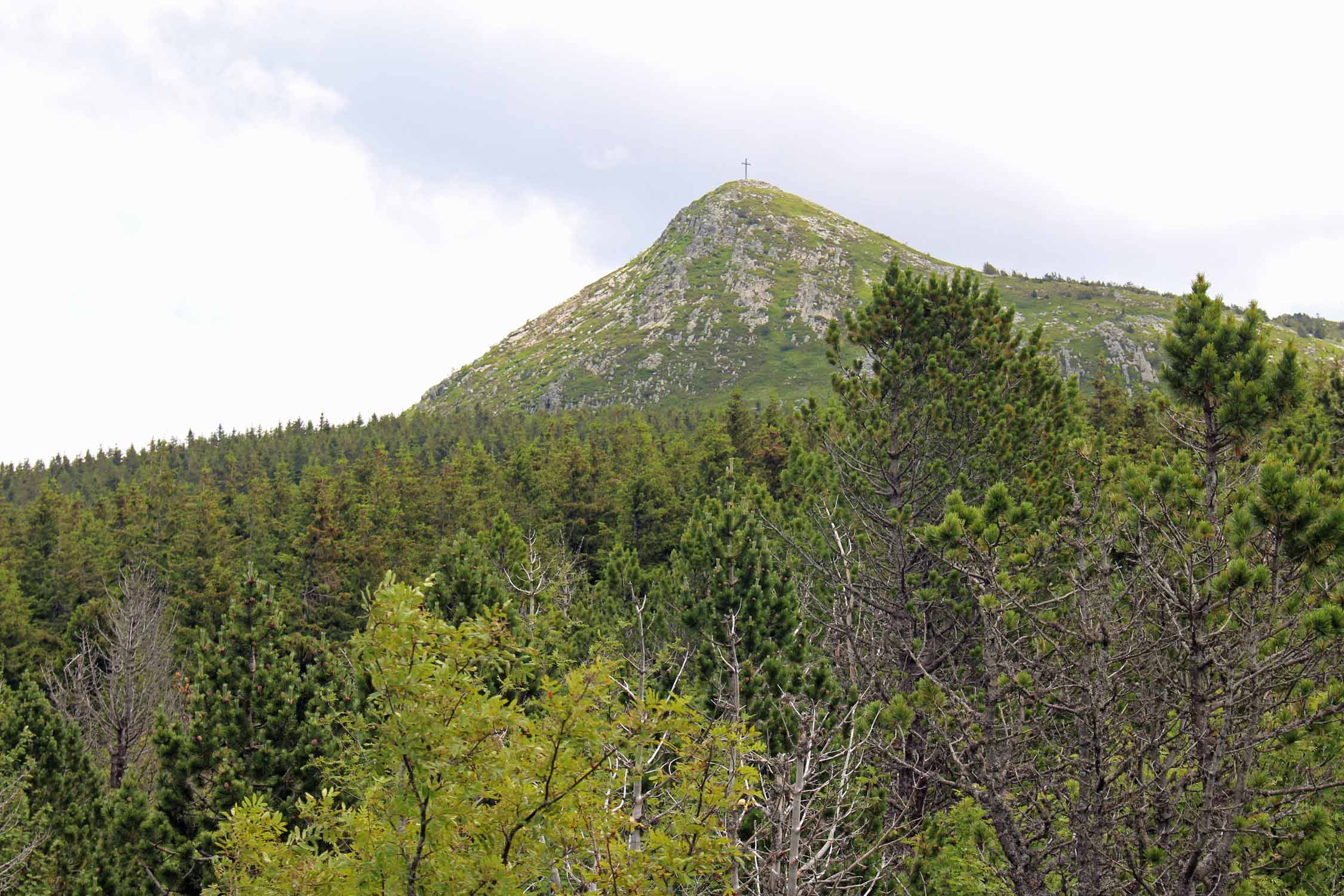 Mont Mézenc