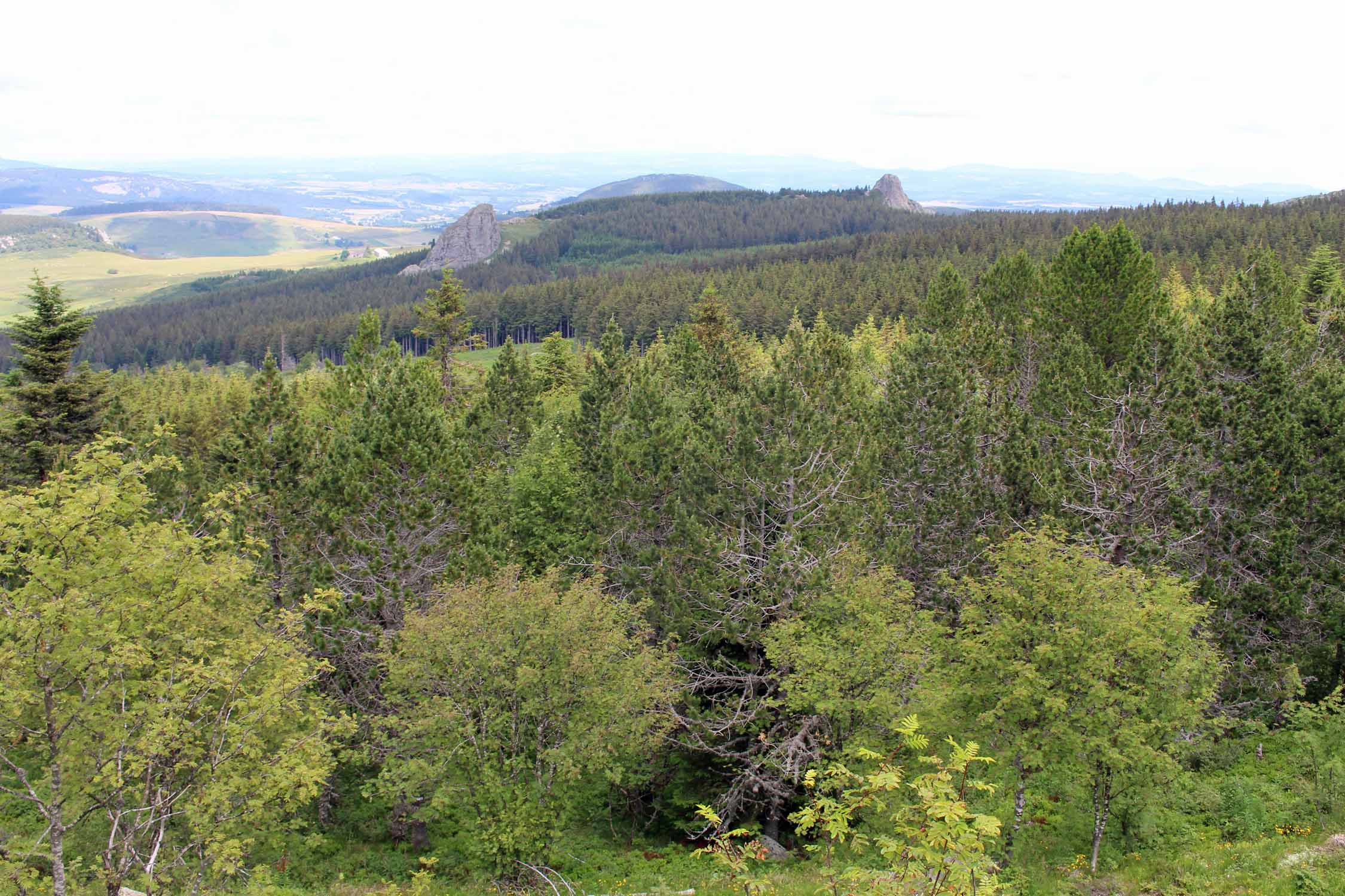 Mont Mézenc, paysage