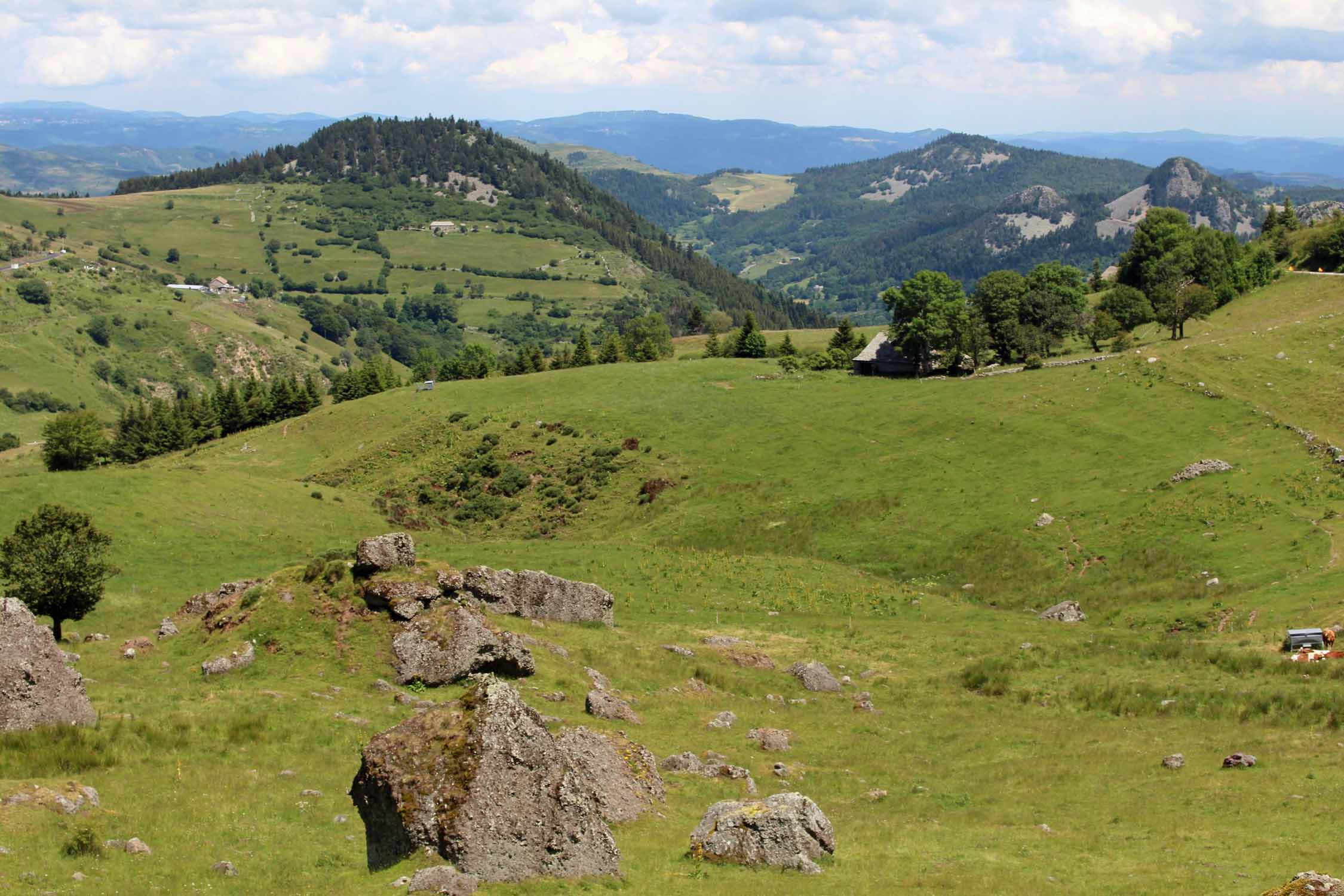 Mont Mézenc, Ardèche, paysage