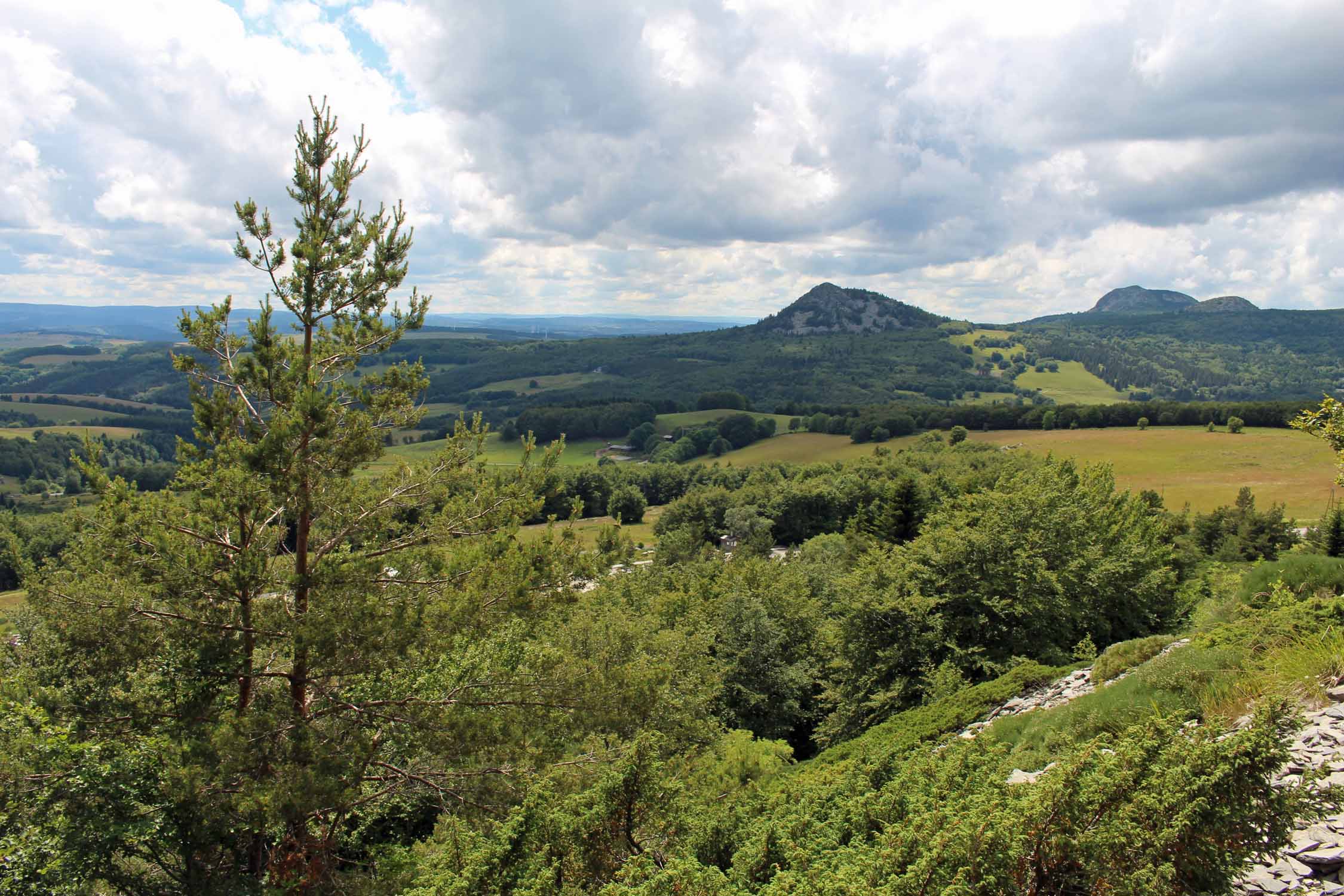 Mont-Gerbier-de-Jonc, paysage