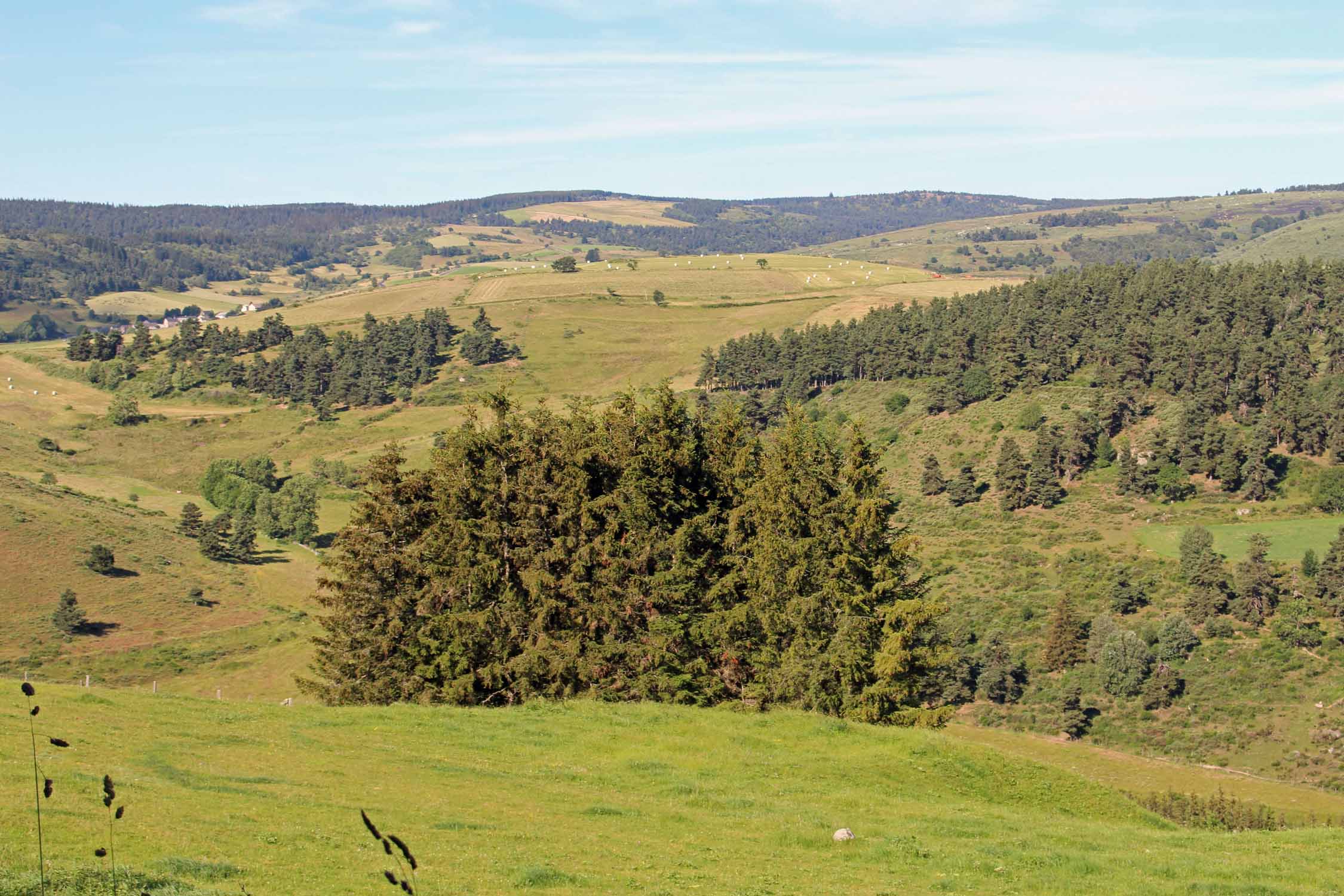 Lozère, Margeride, paysage