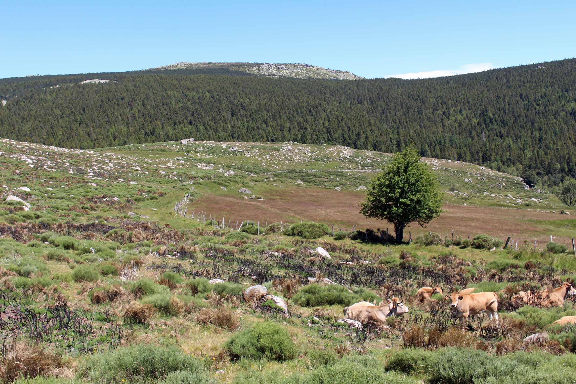 Col de Finiels