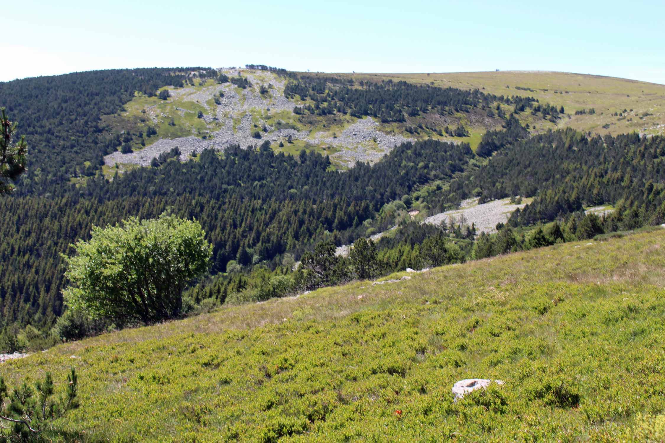 Mont Lozère, paysage