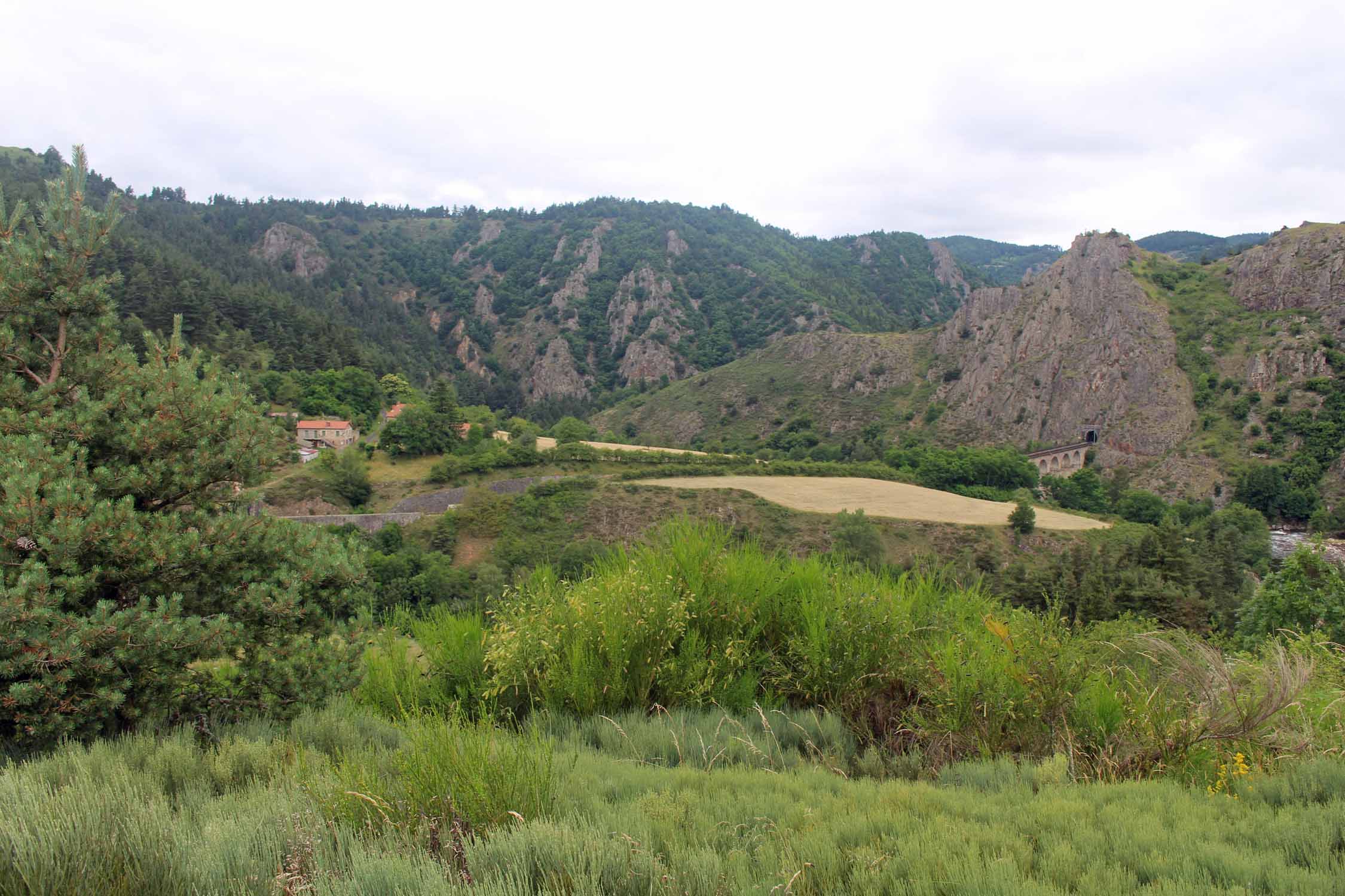 Joncherette, paysage