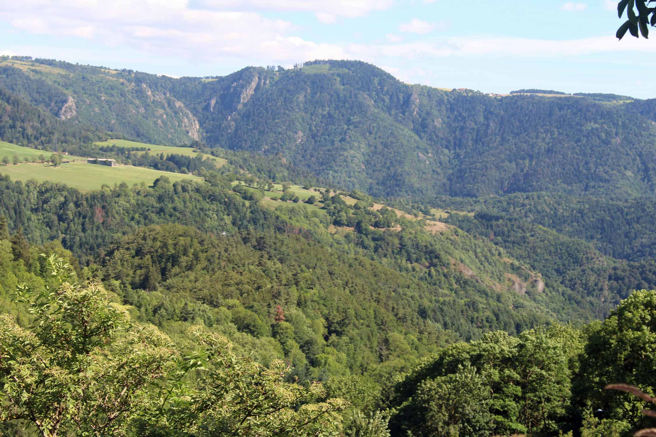 Mont du Devès, paysage