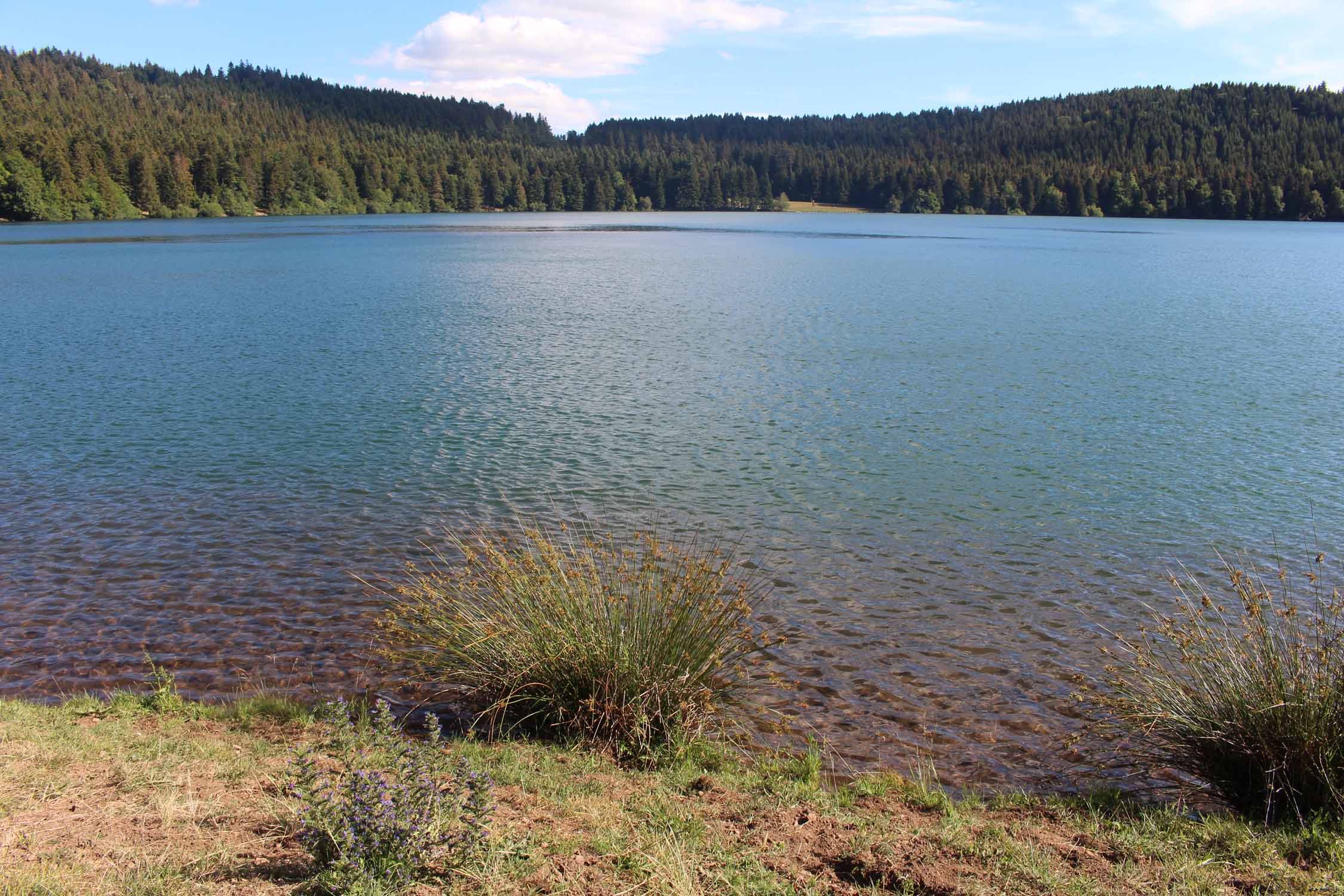 Haute-Loire, lac du Bouchet