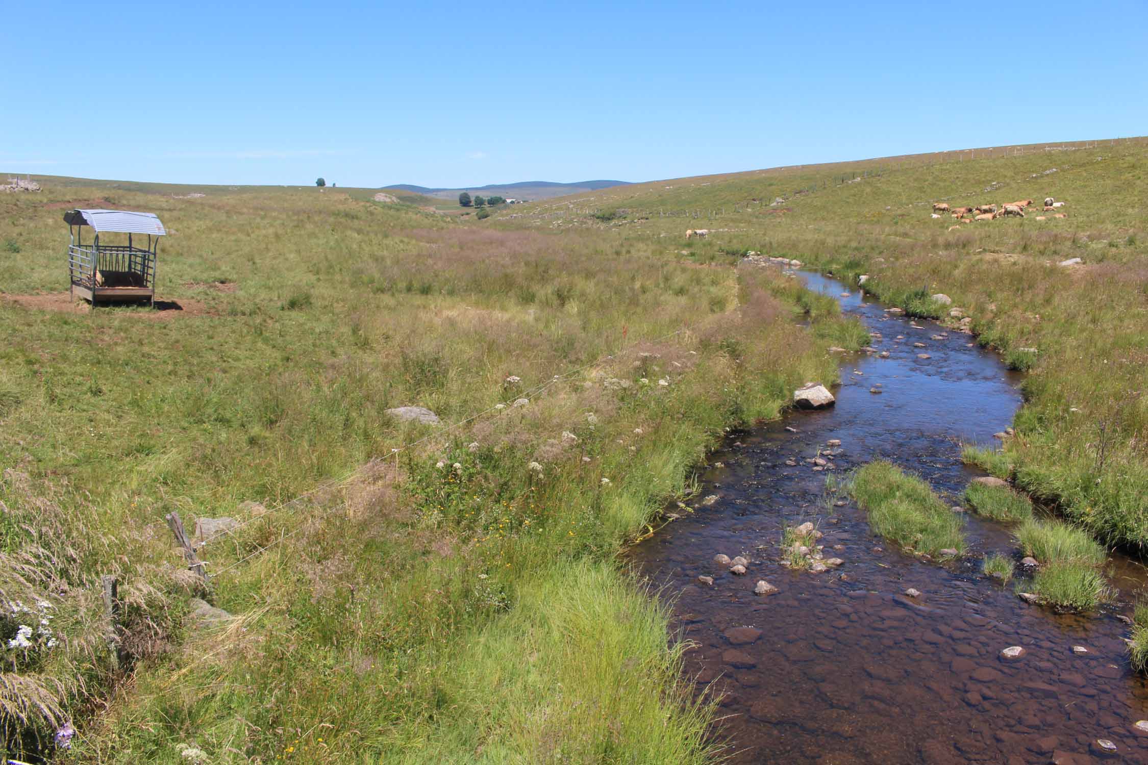 Aubrac, paysage