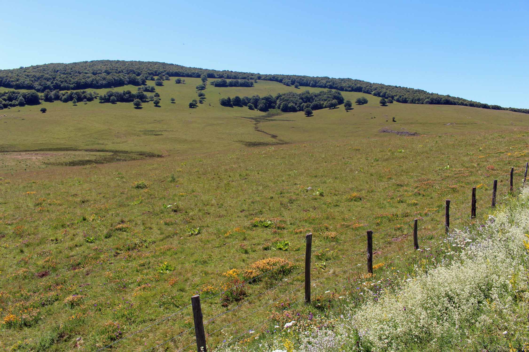 Aubrac, Puy de Gudette