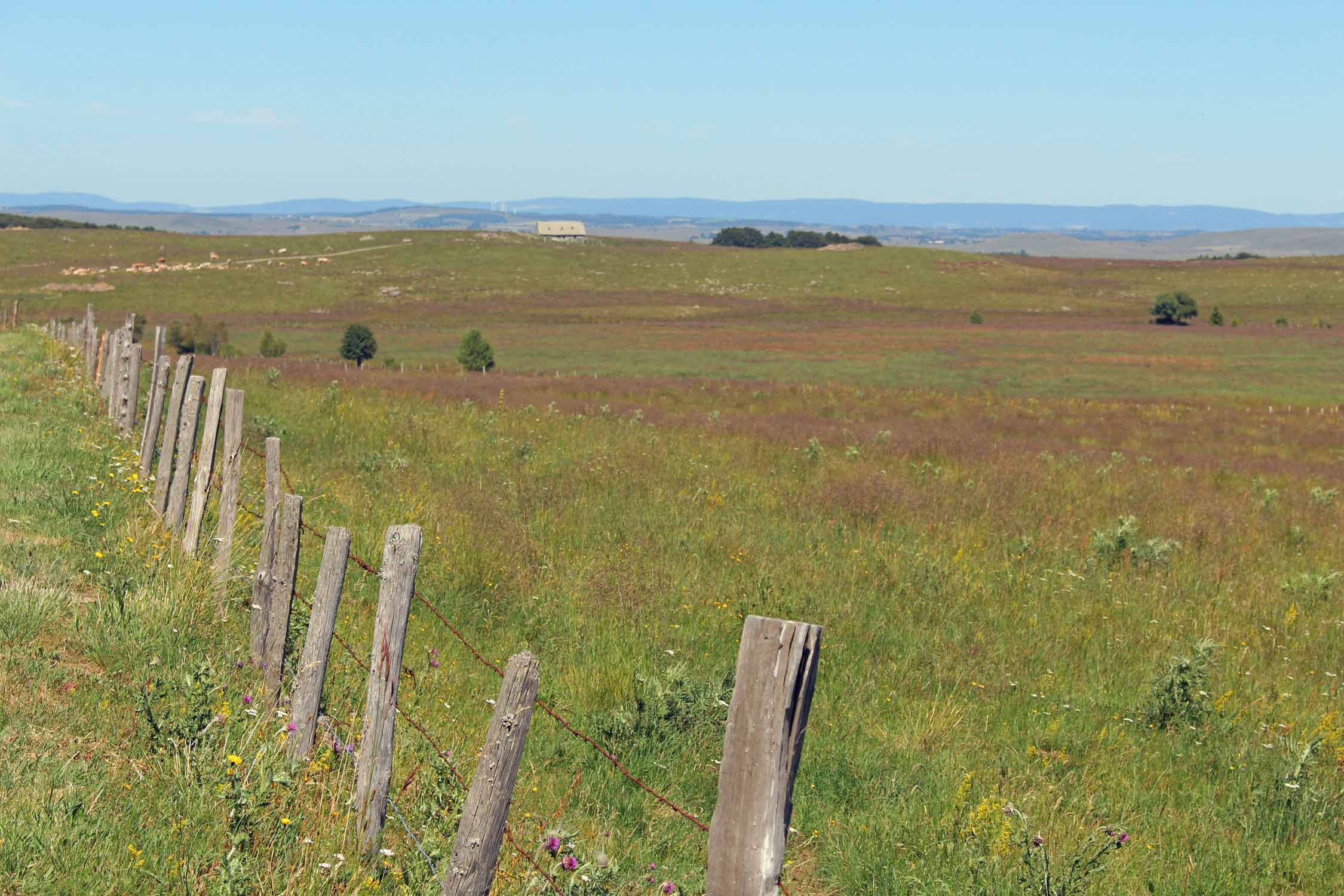 Aubrac, Lozère, paysage