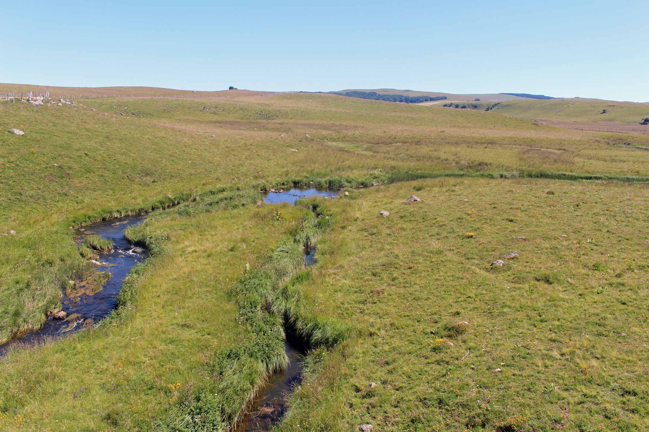 Aubrac, paysage typique