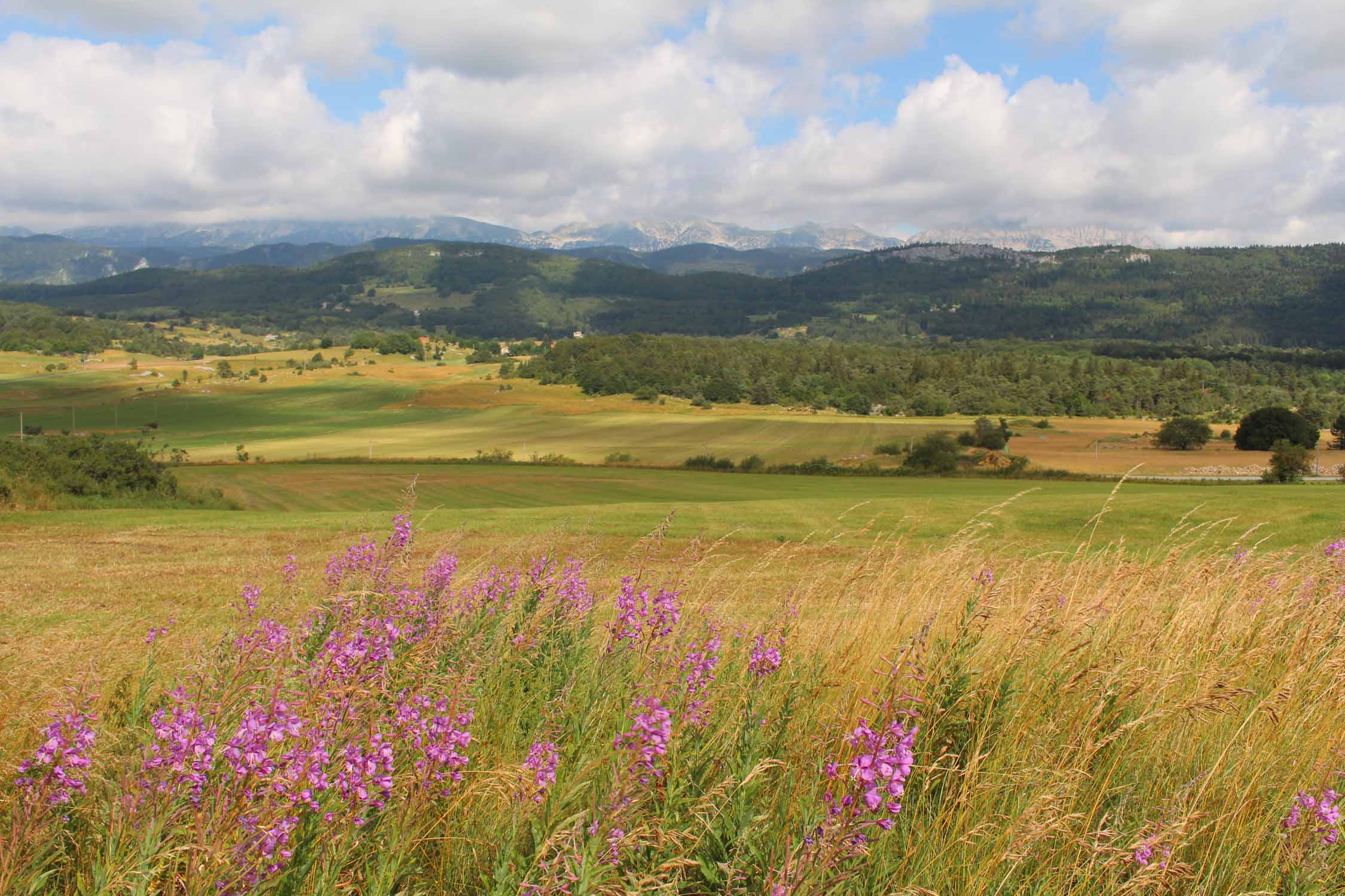 Le Vercors, paysage