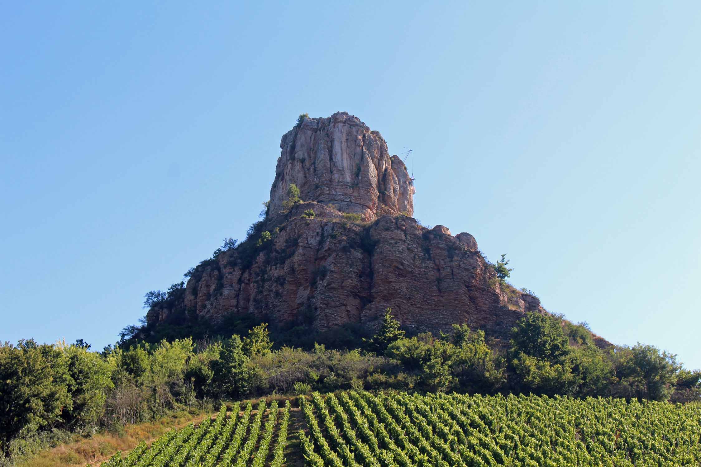 Roche de Solutré, vignobles