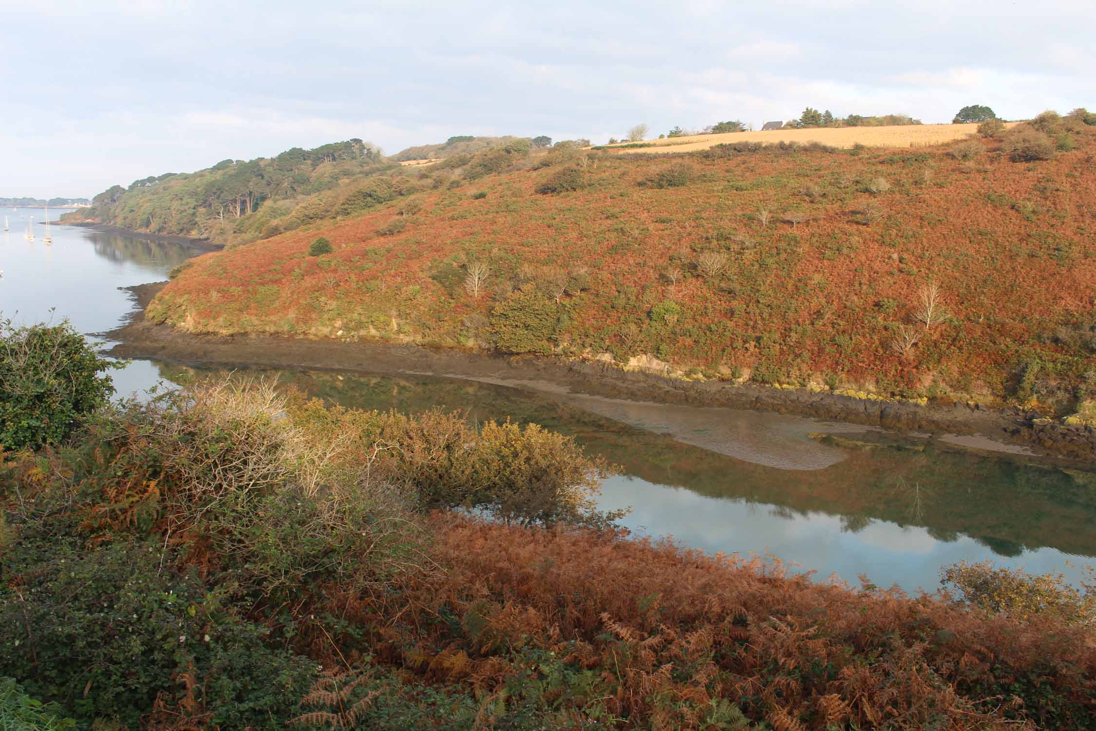 L'Aber Wrac'h, paysage d'automne