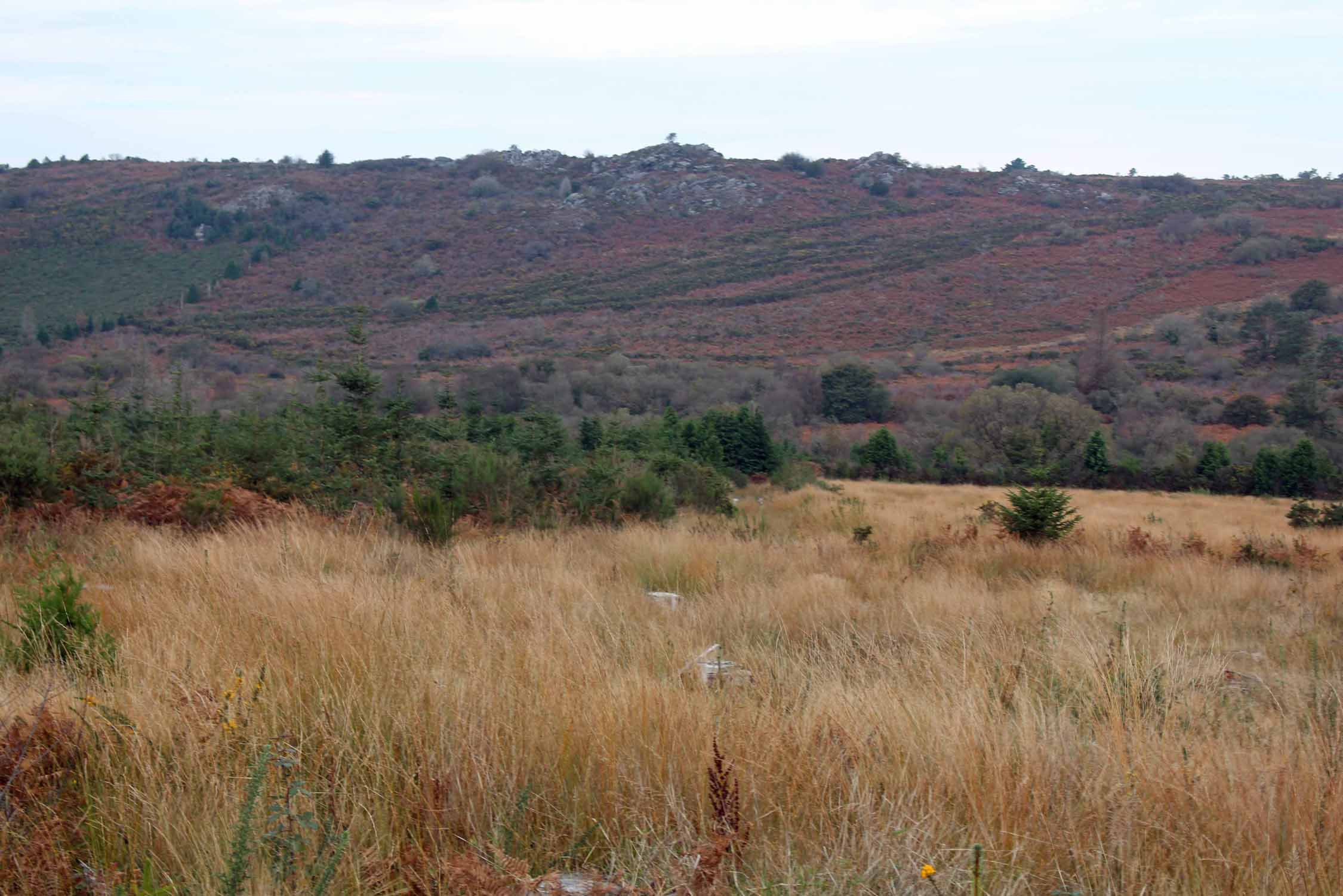 Monts d'Arrée, Pen ar Hoat, paysage