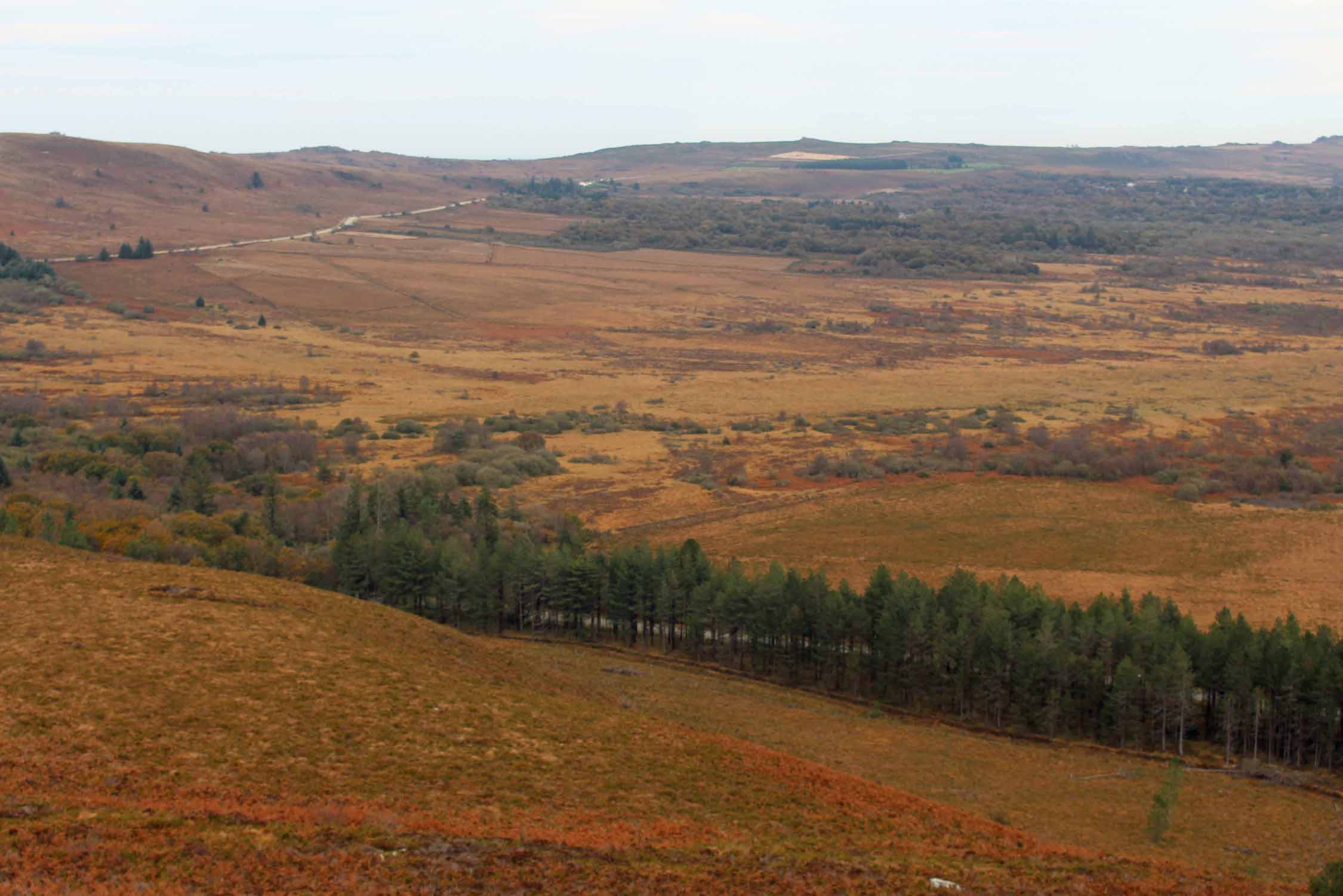 Monts d'Arrée, montagne Saint-Michel, paysage