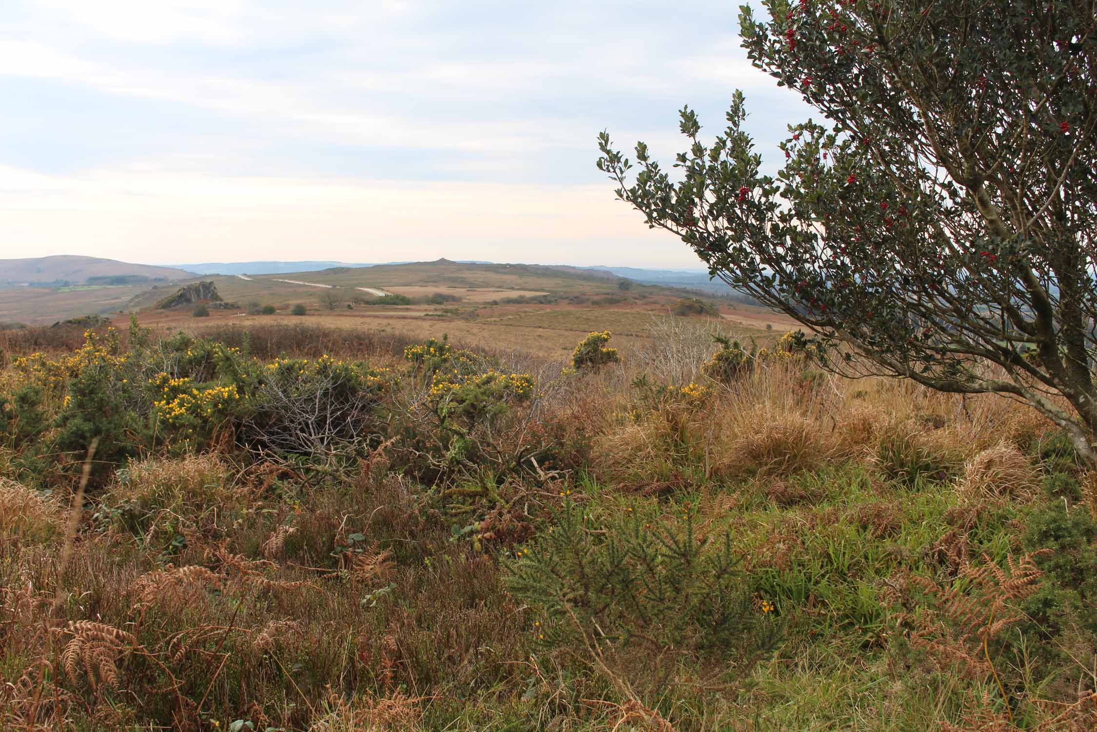 Monts d'Arrée, roc Trevezel, automne