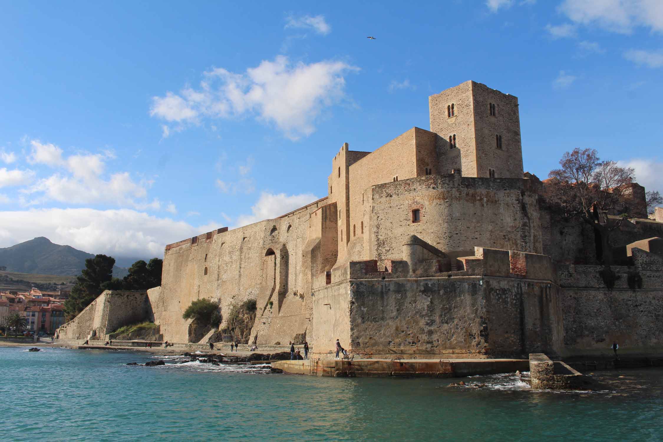 Collioure, château royal