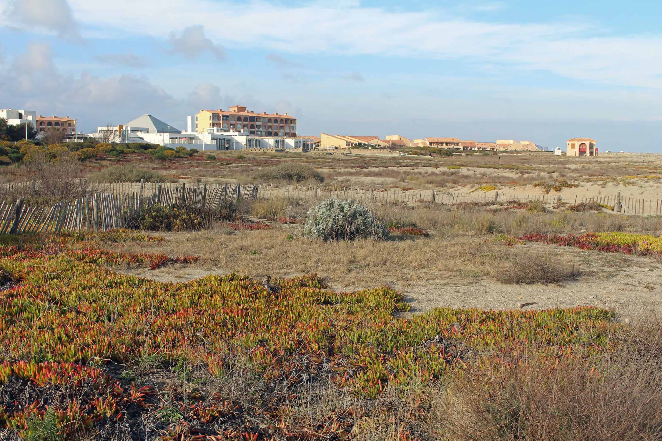 Port-Leucate, plage