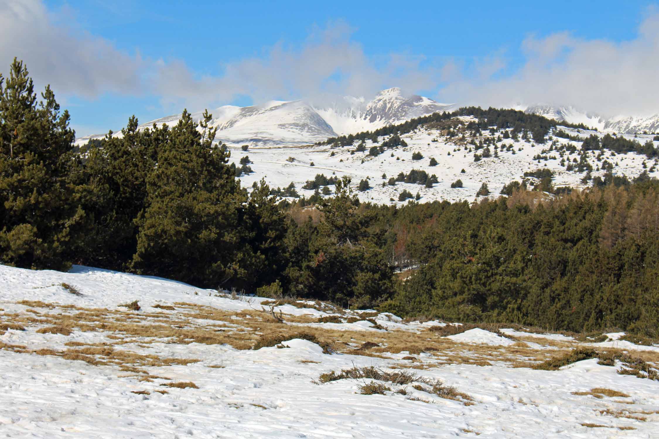 Font-Romeu, paysage, Pyrénées, neige