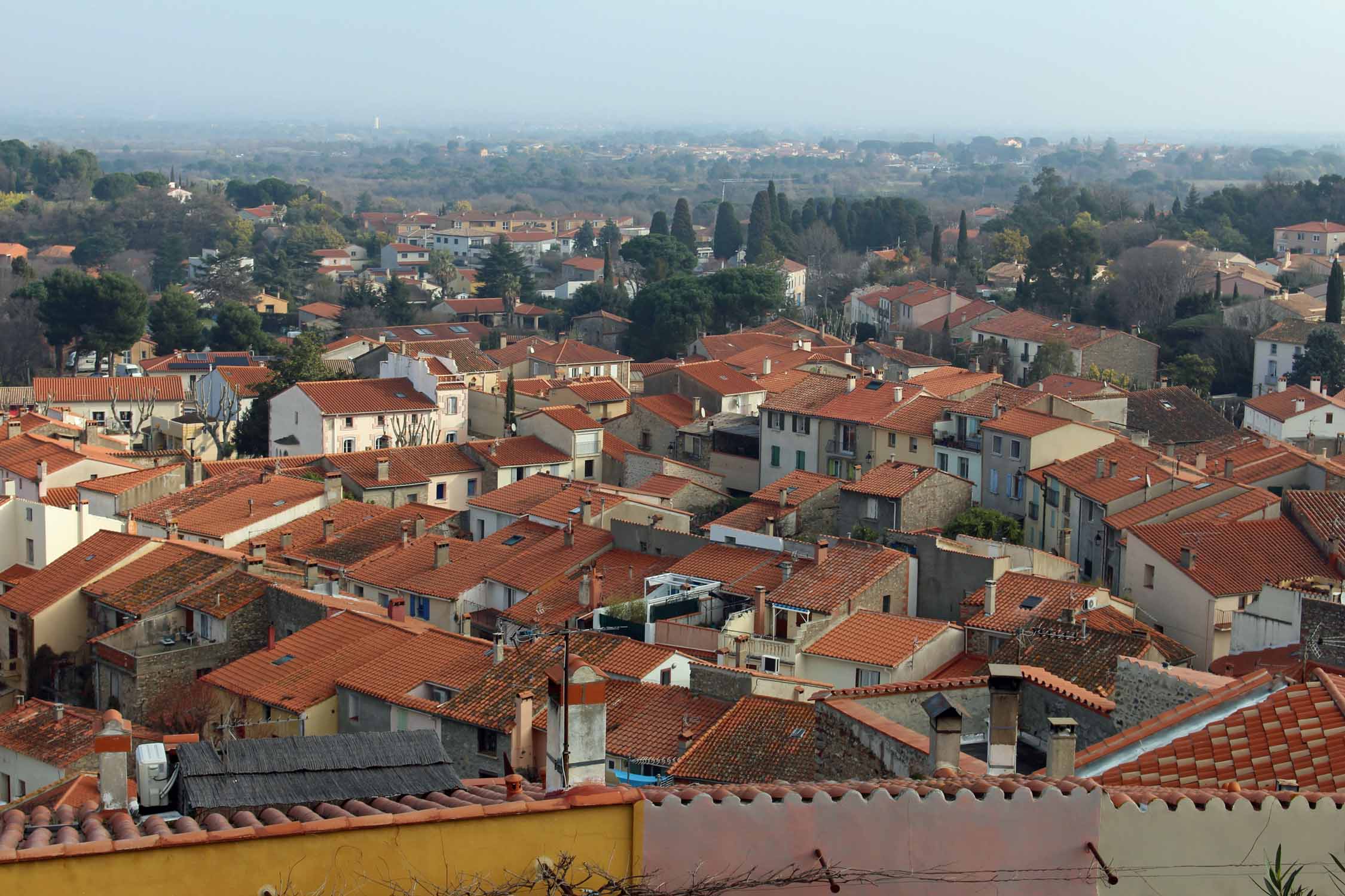 Laroque-des-Albères, paysage